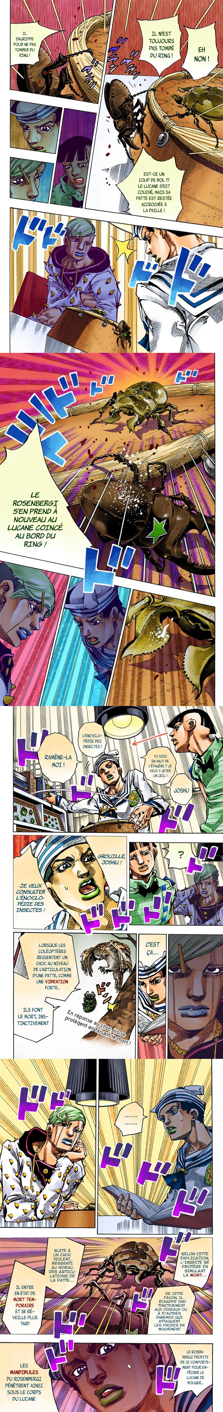 Read JoJo's Bizarre Adventure FR Manga Online