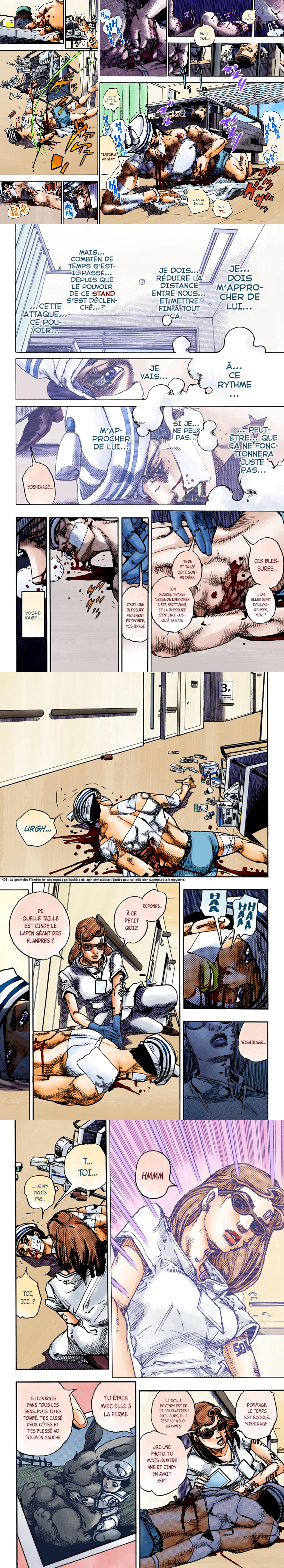 Read JoJo's Bizarre Adventure FR Manga Online