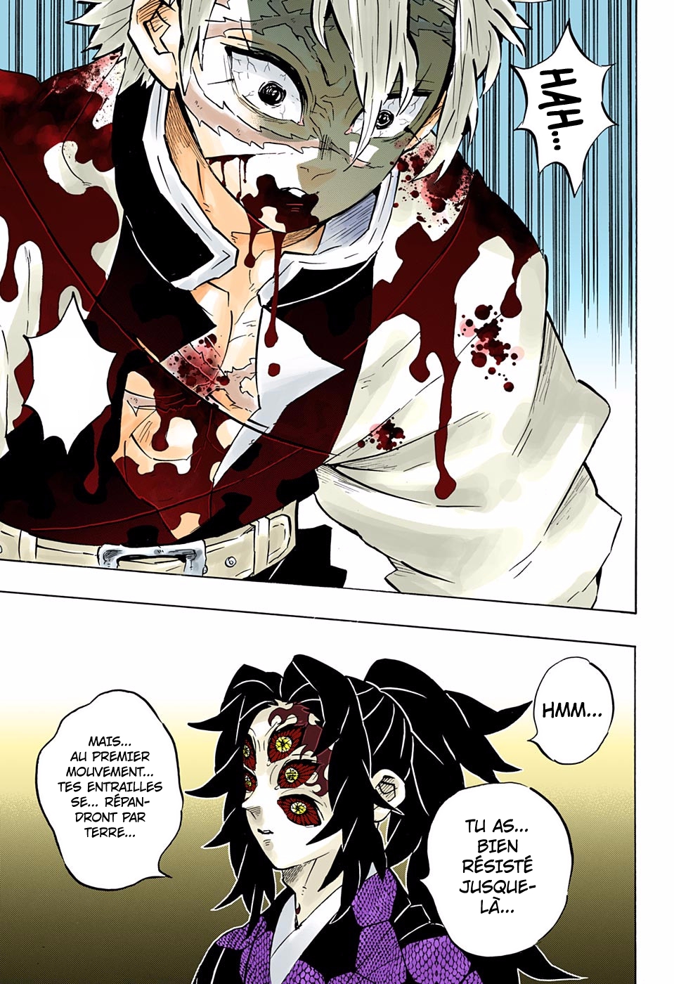 Read Kimetsu No Yaiba FR Manga Online
