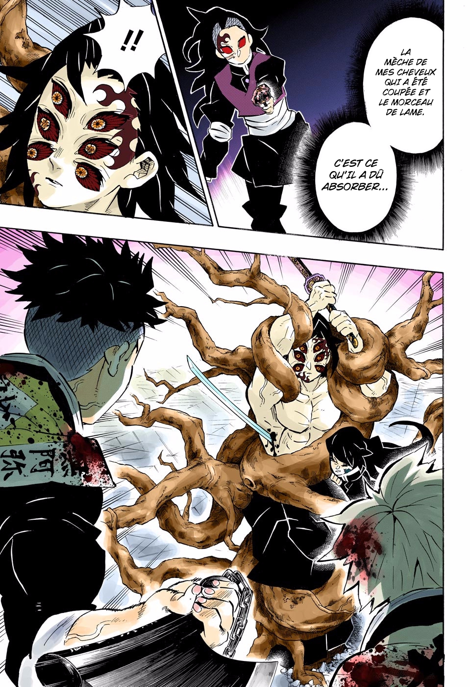 Read Kimetsu No Yaiba FR Manga Online