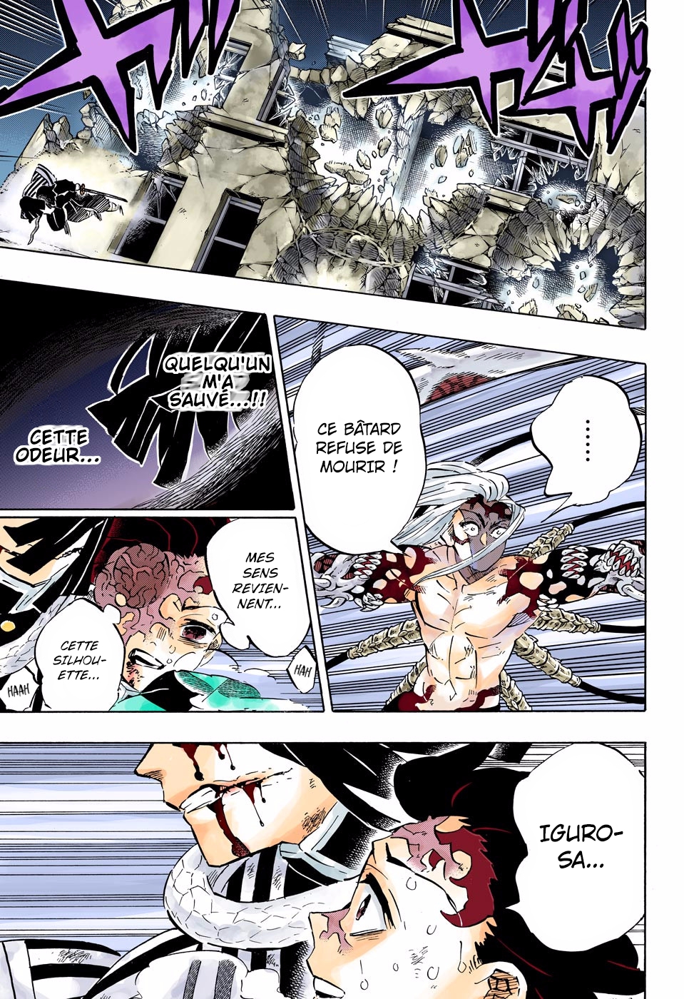 Read Kimetsu No Yaiba FR Manga Online