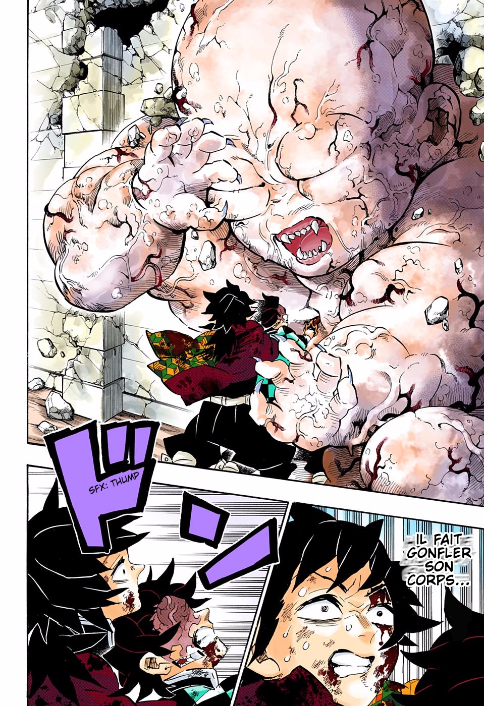 Read Kimetsu No Yaiba FR Manga Online
