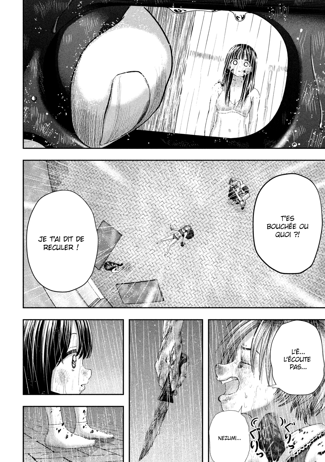 Read Nezumi no Hatsukoi FR Manga Online