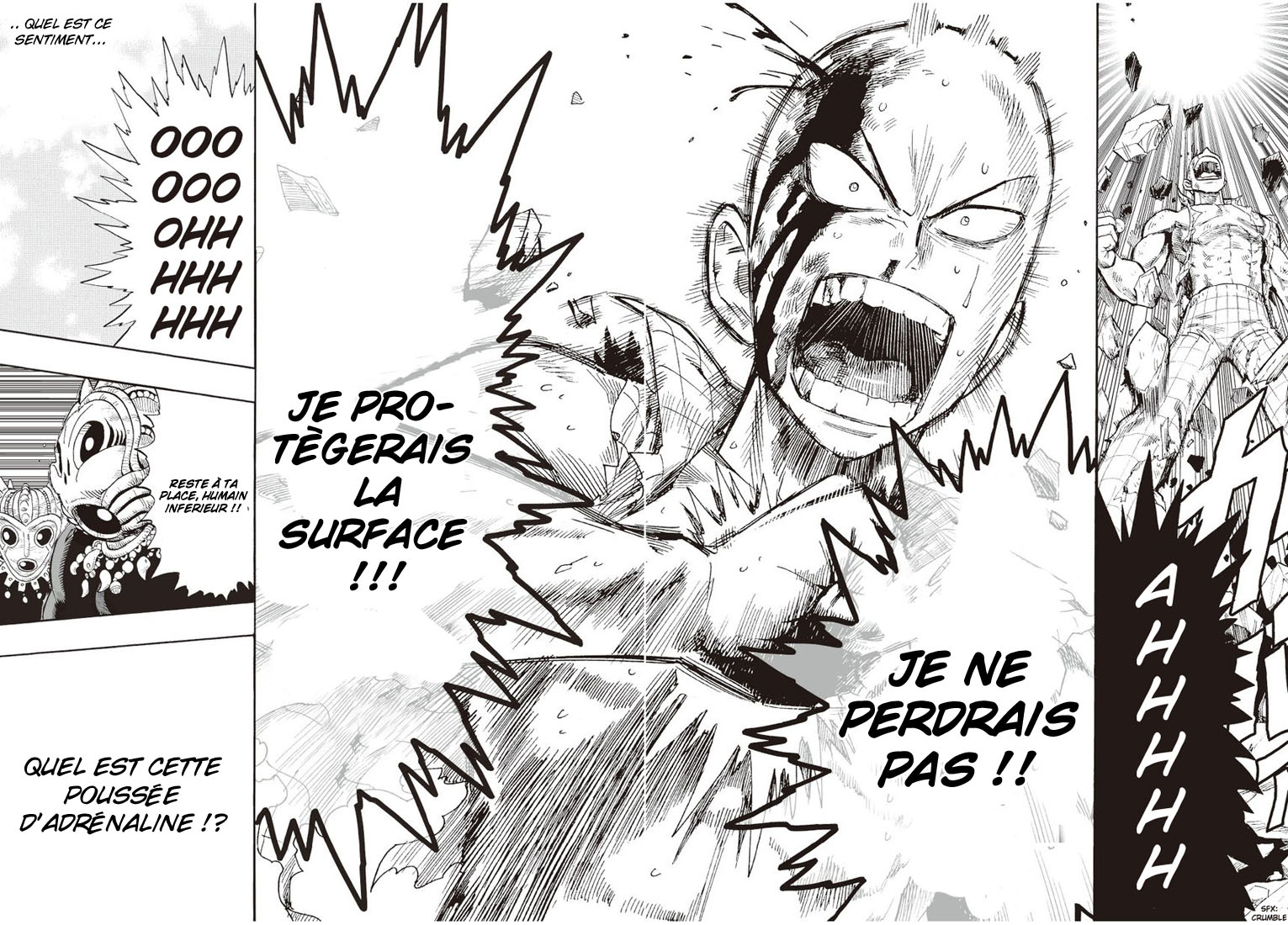 Read One Punch man FR Manga Online