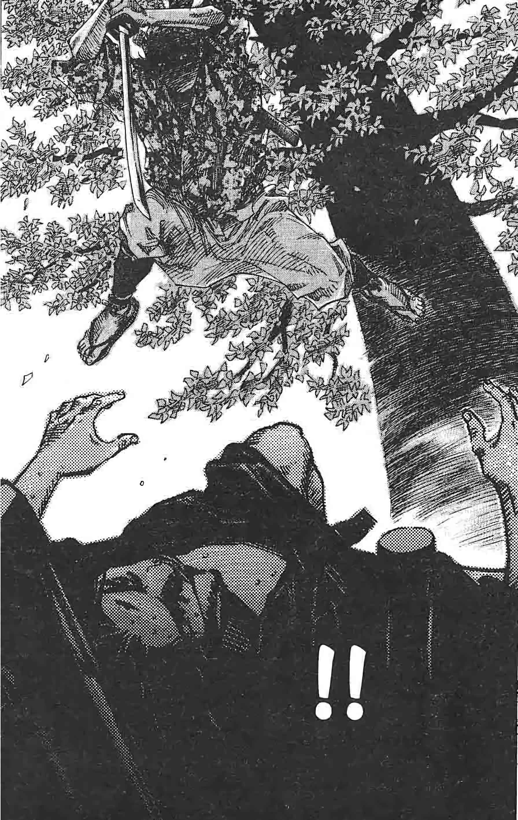 Read Vagabond FR Manga Online