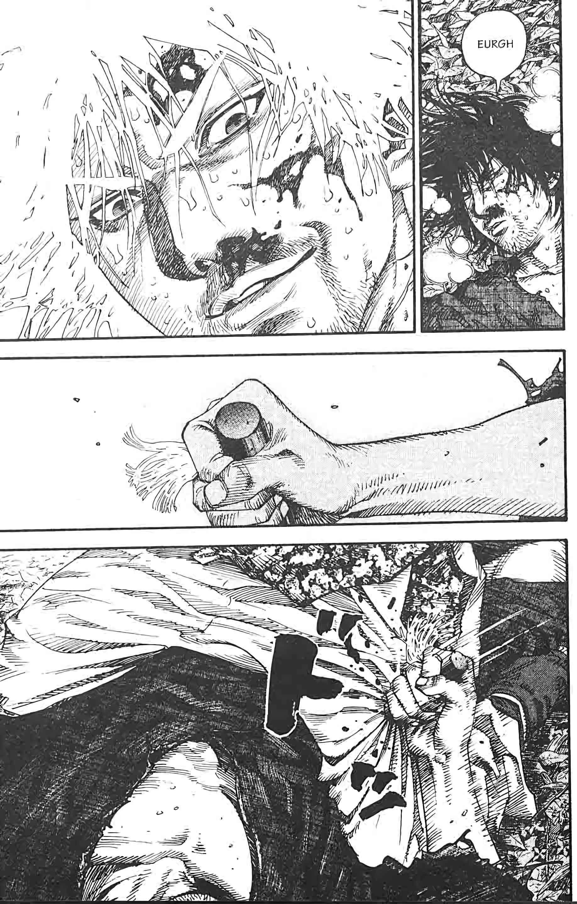 Read Vagabond FR Manga Online
