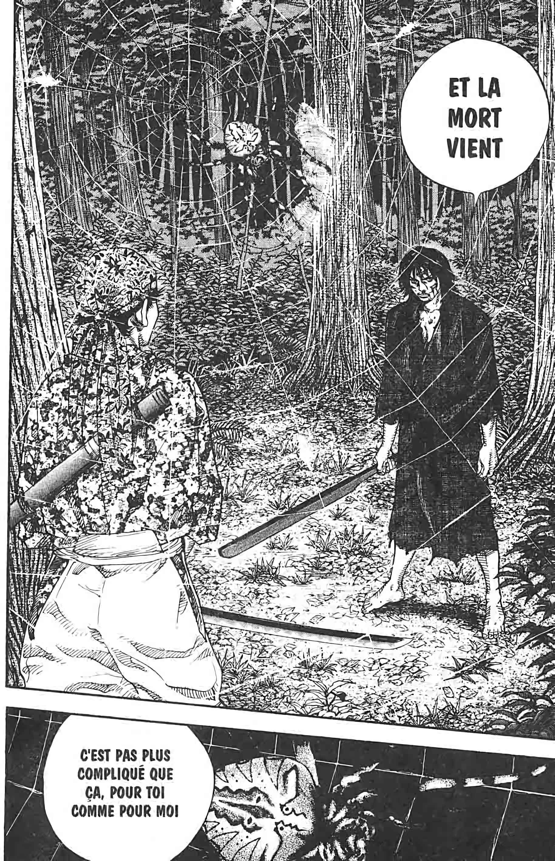 Read Vagabond FR Manga Online
