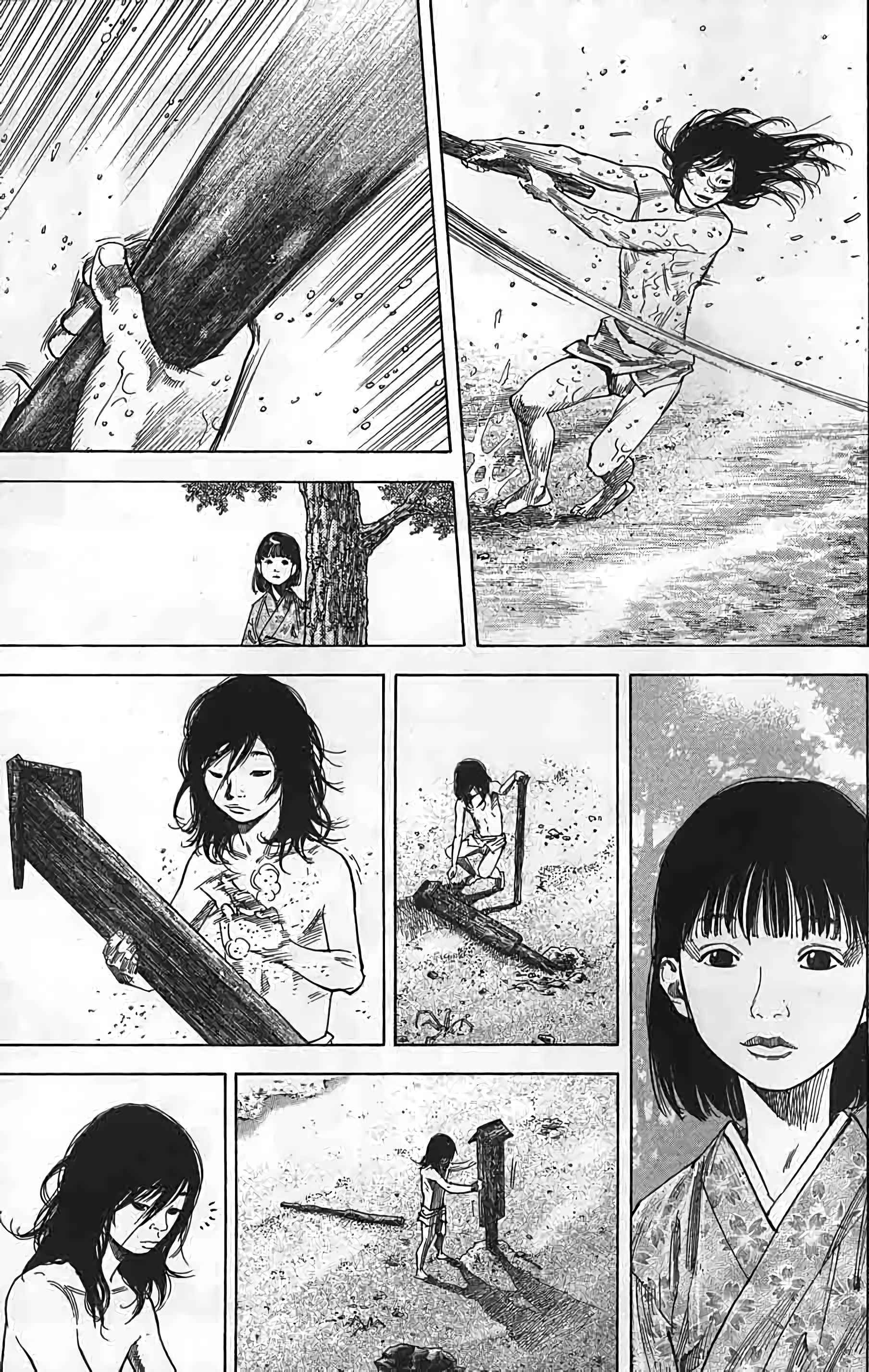 Read Vagabond FR Manga Online