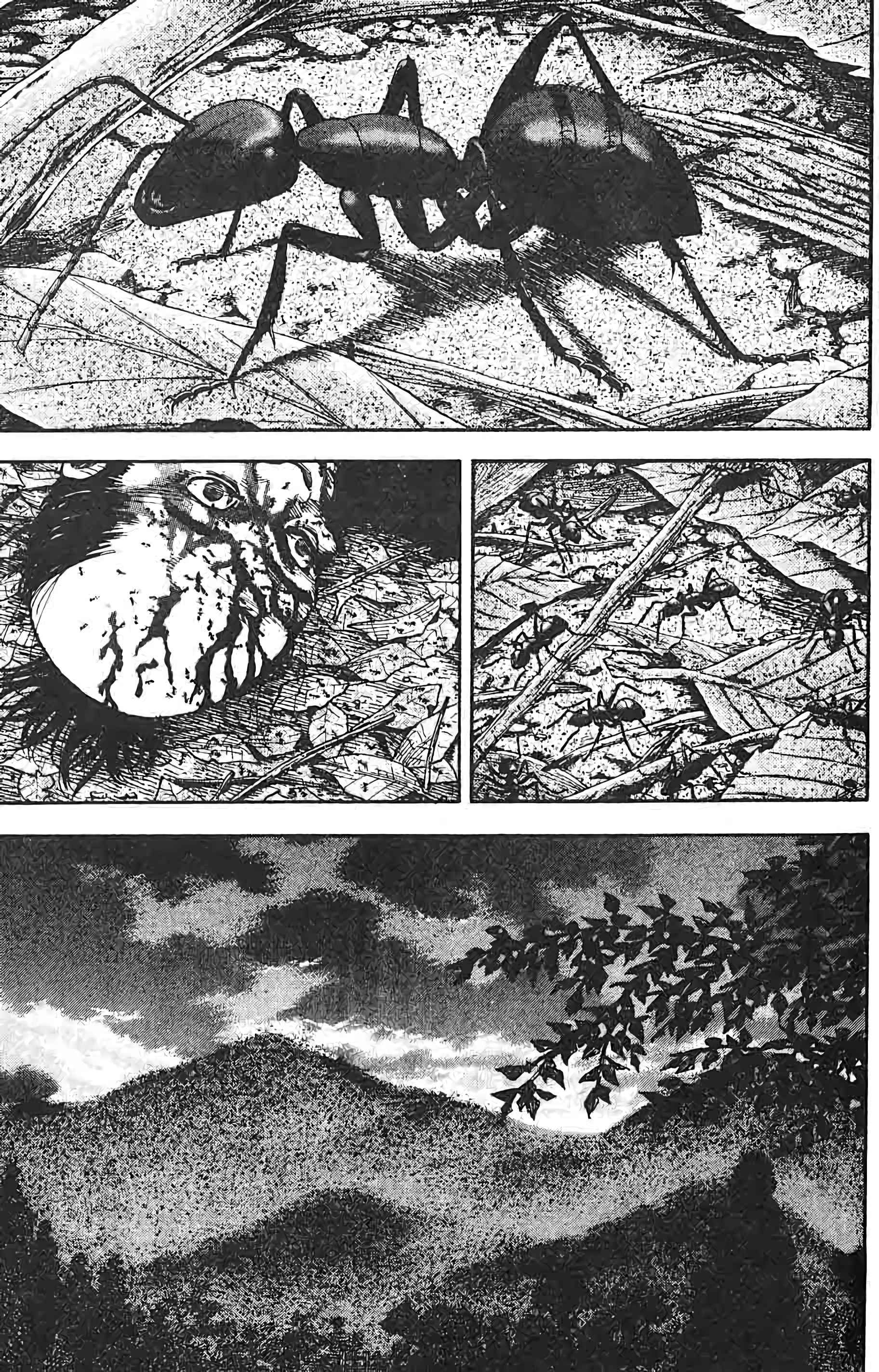 Read Vagabond FR Manga Online