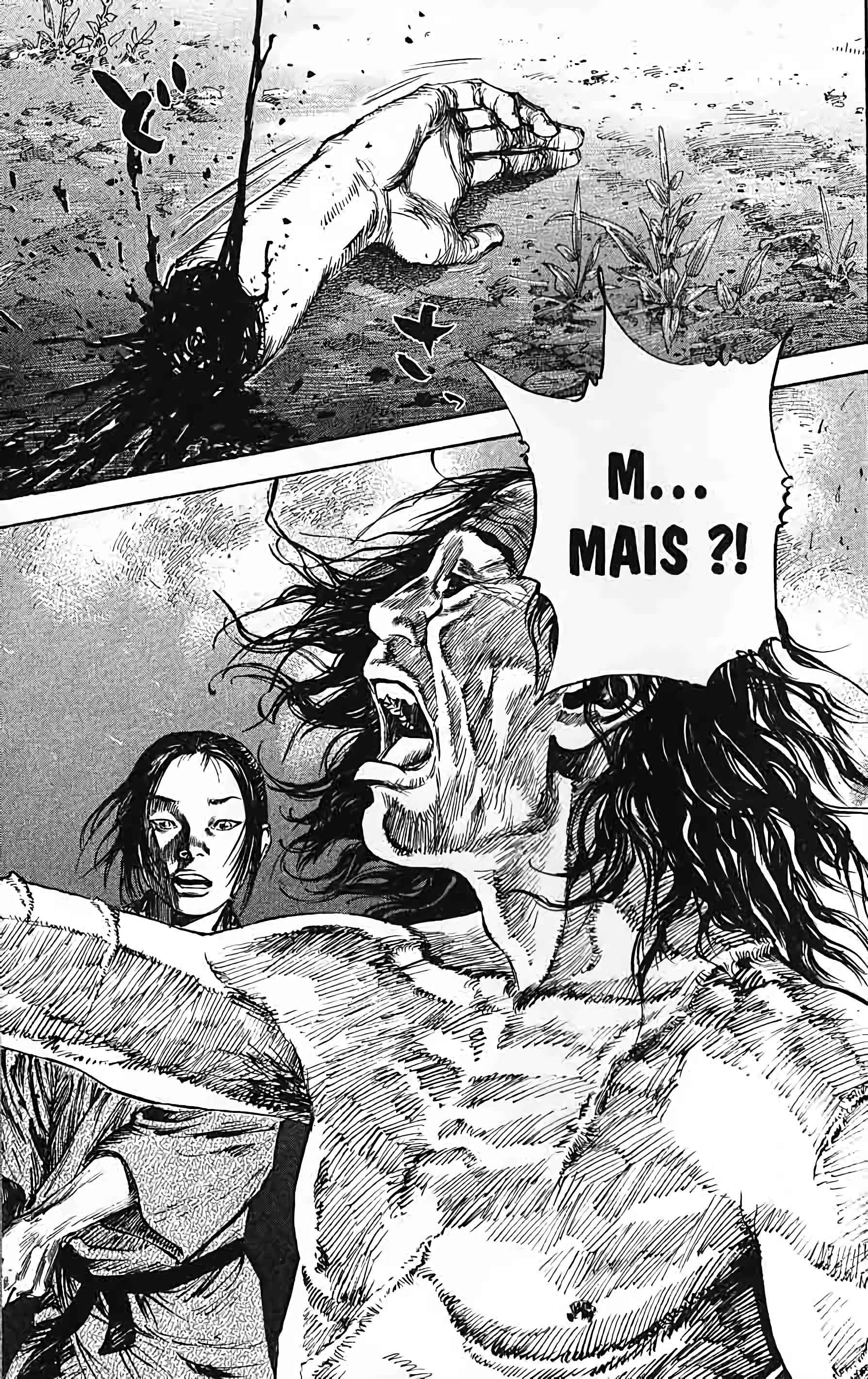 Read Vagabond FR Manga Online