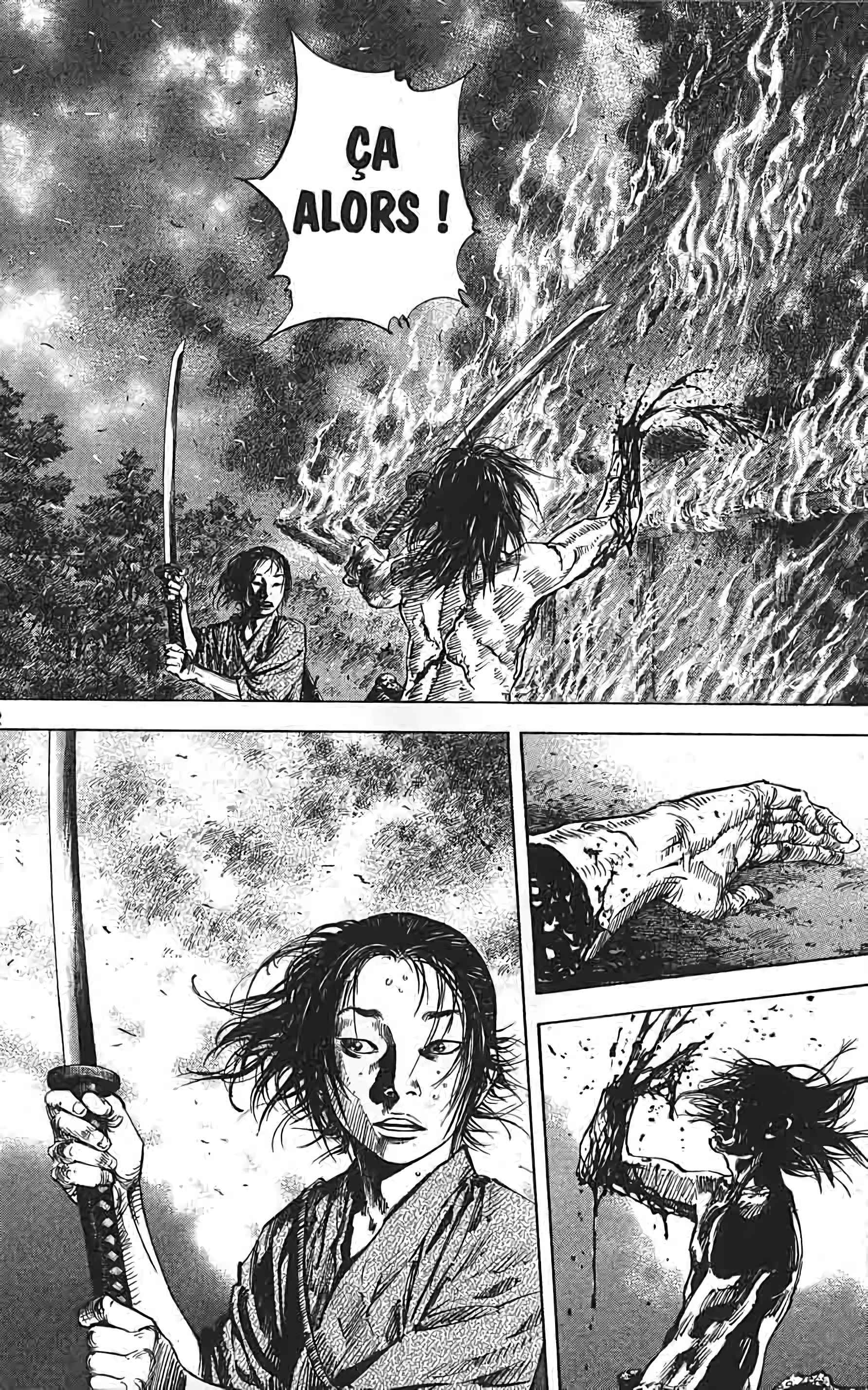 Read Vagabond FR Manga Online