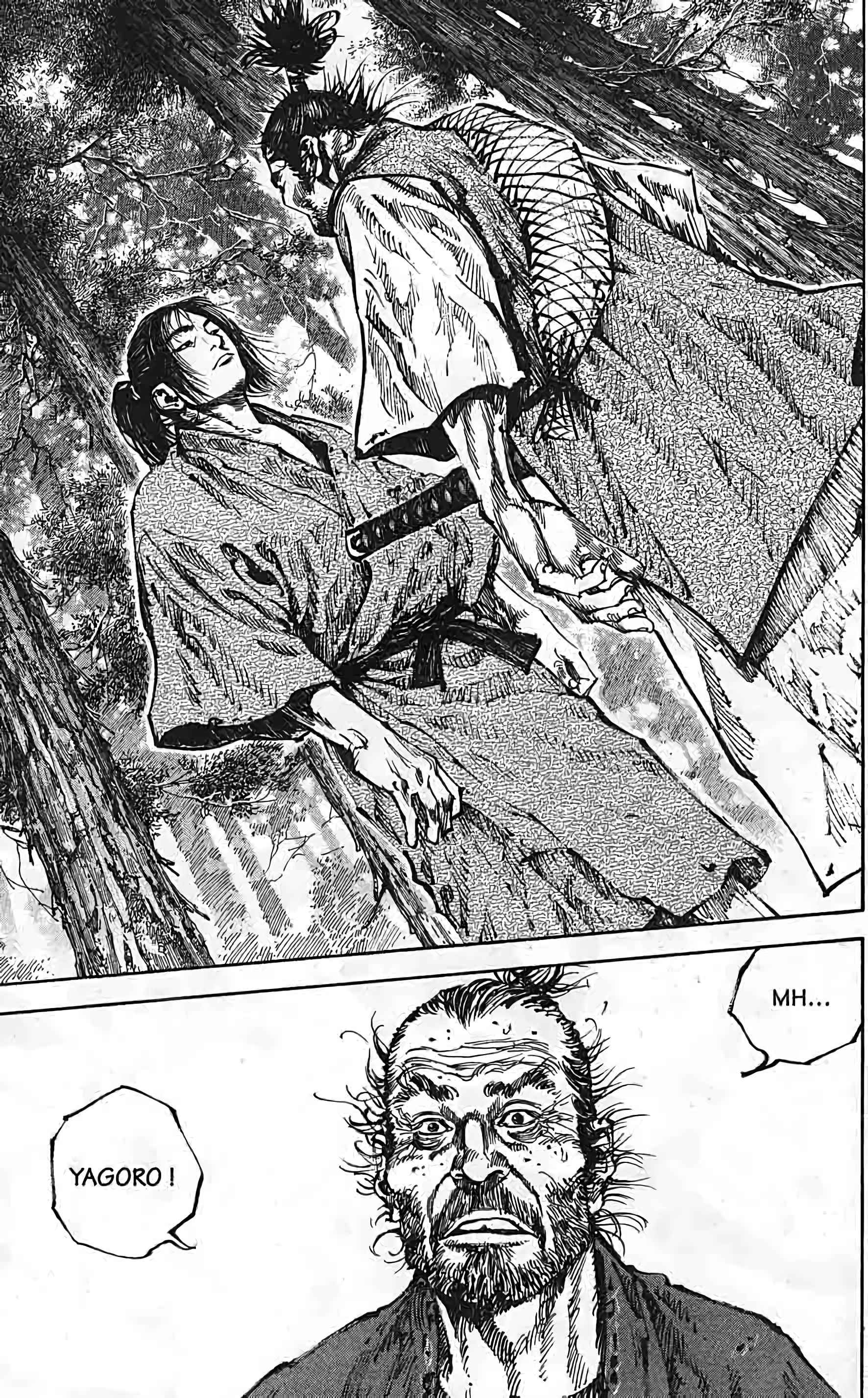 Read Vagabond FR Manga Online