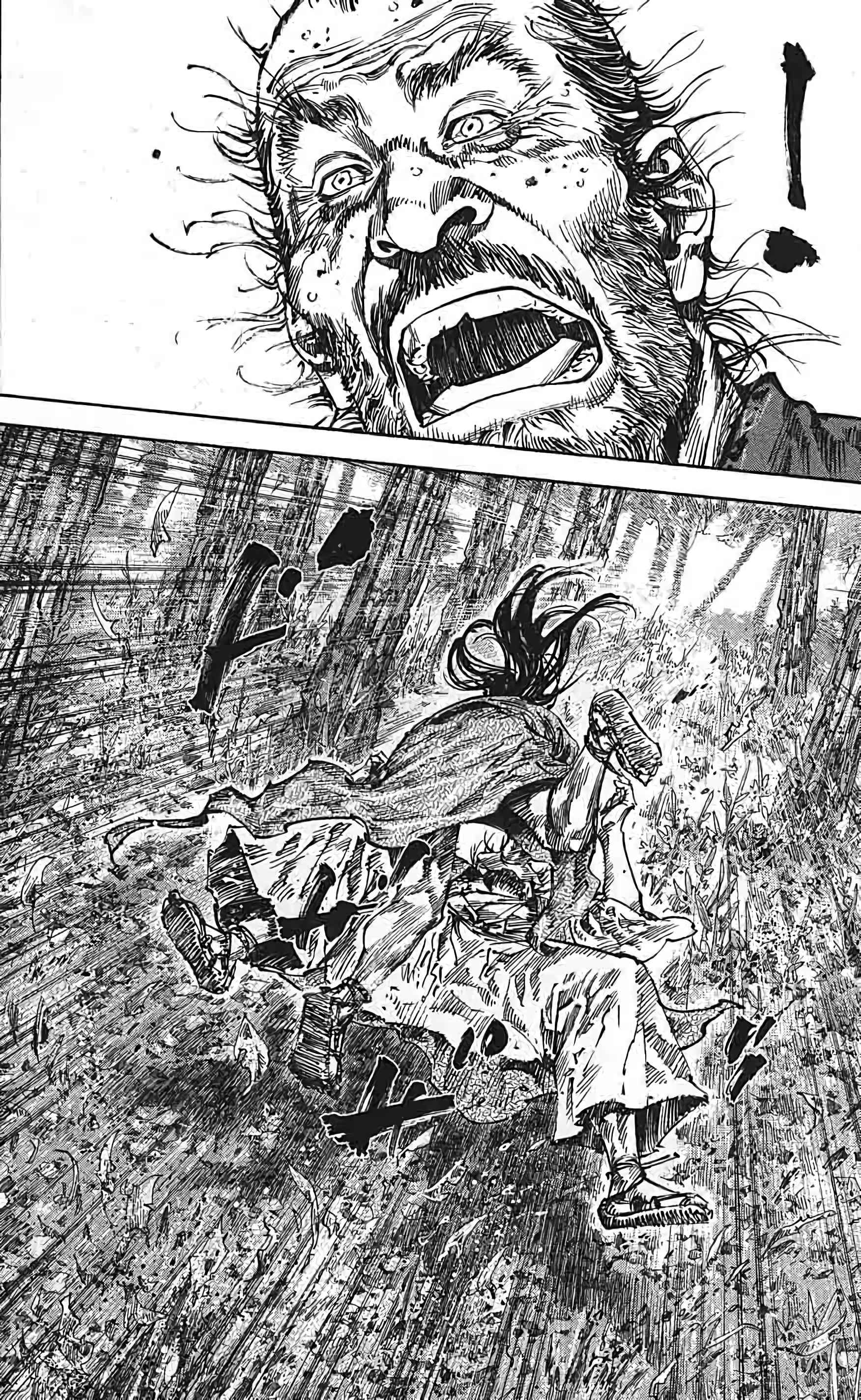 Read Vagabond FR Manga Online