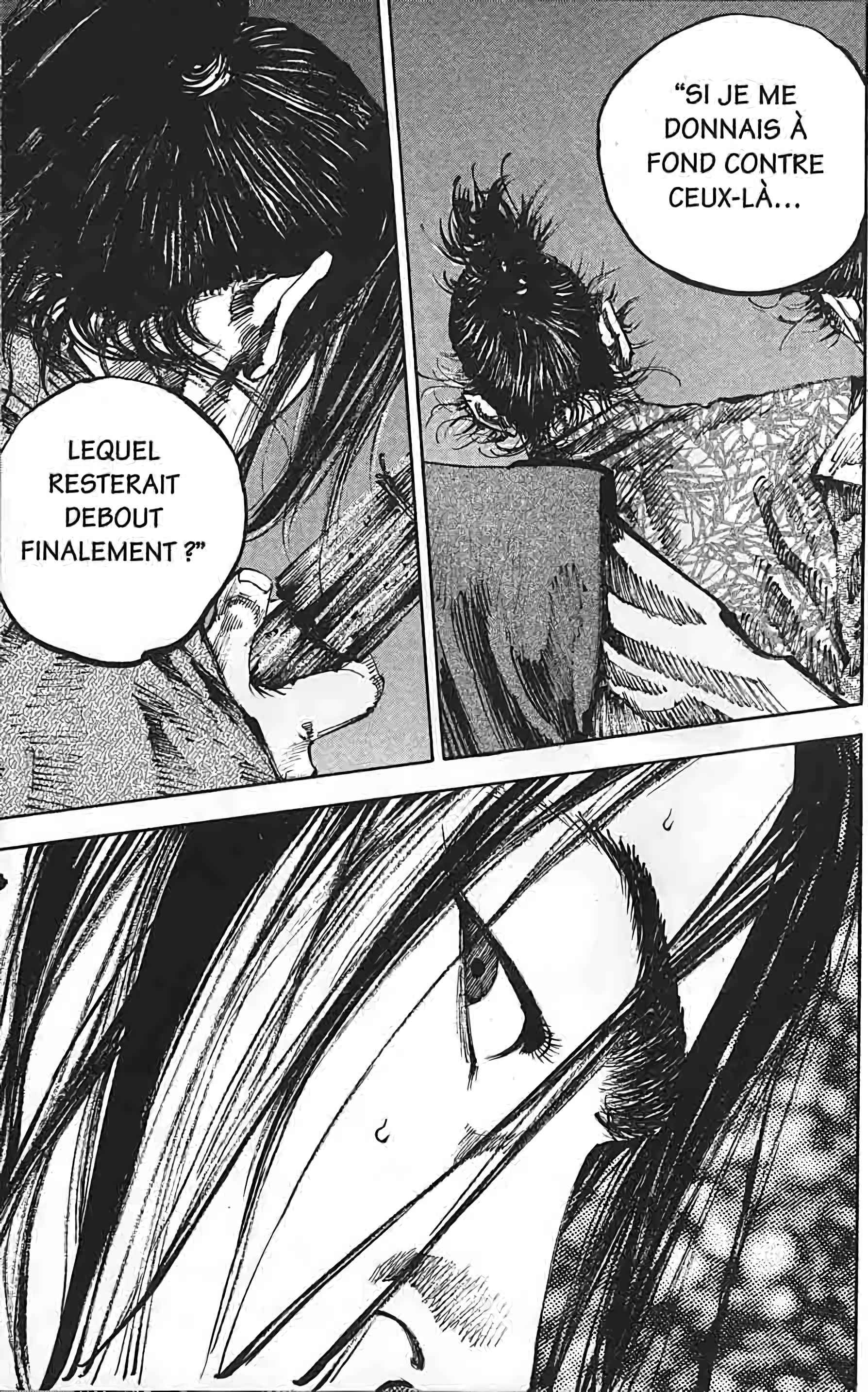 Read Vagabond FR Manga Online
