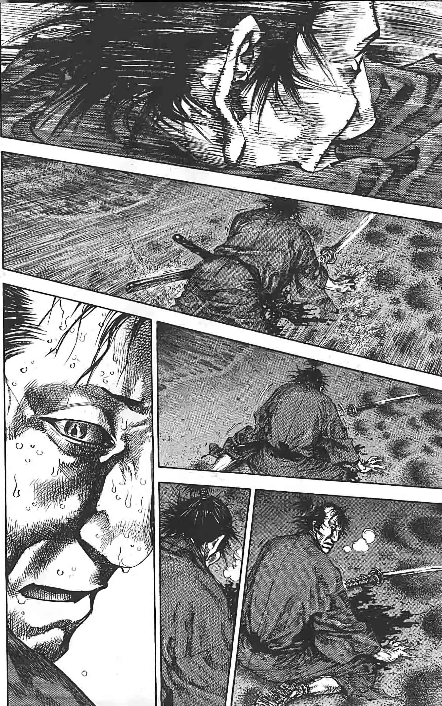 Read Vagabond FR Manga Online