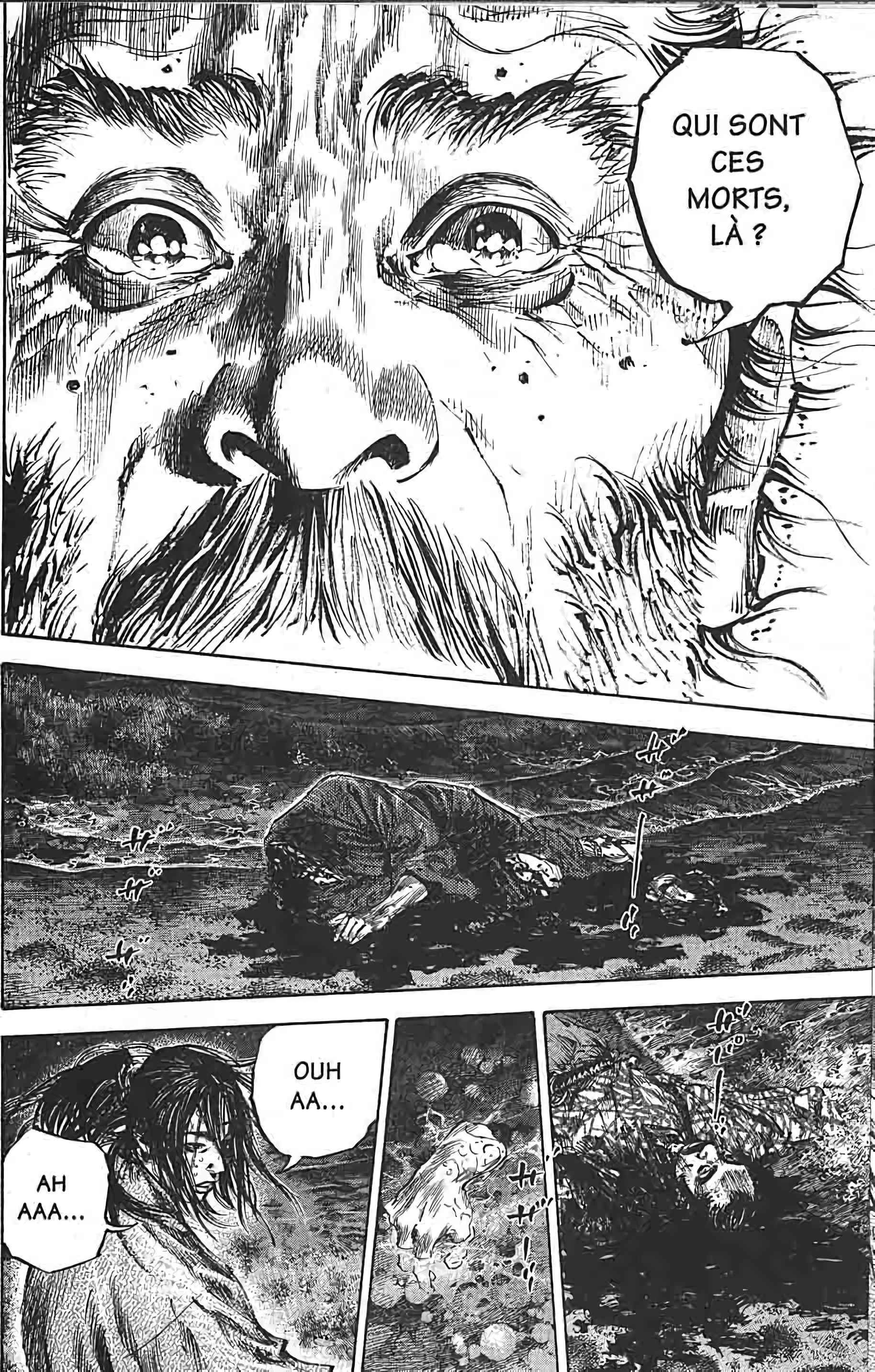 Read Vagabond FR Manga Online