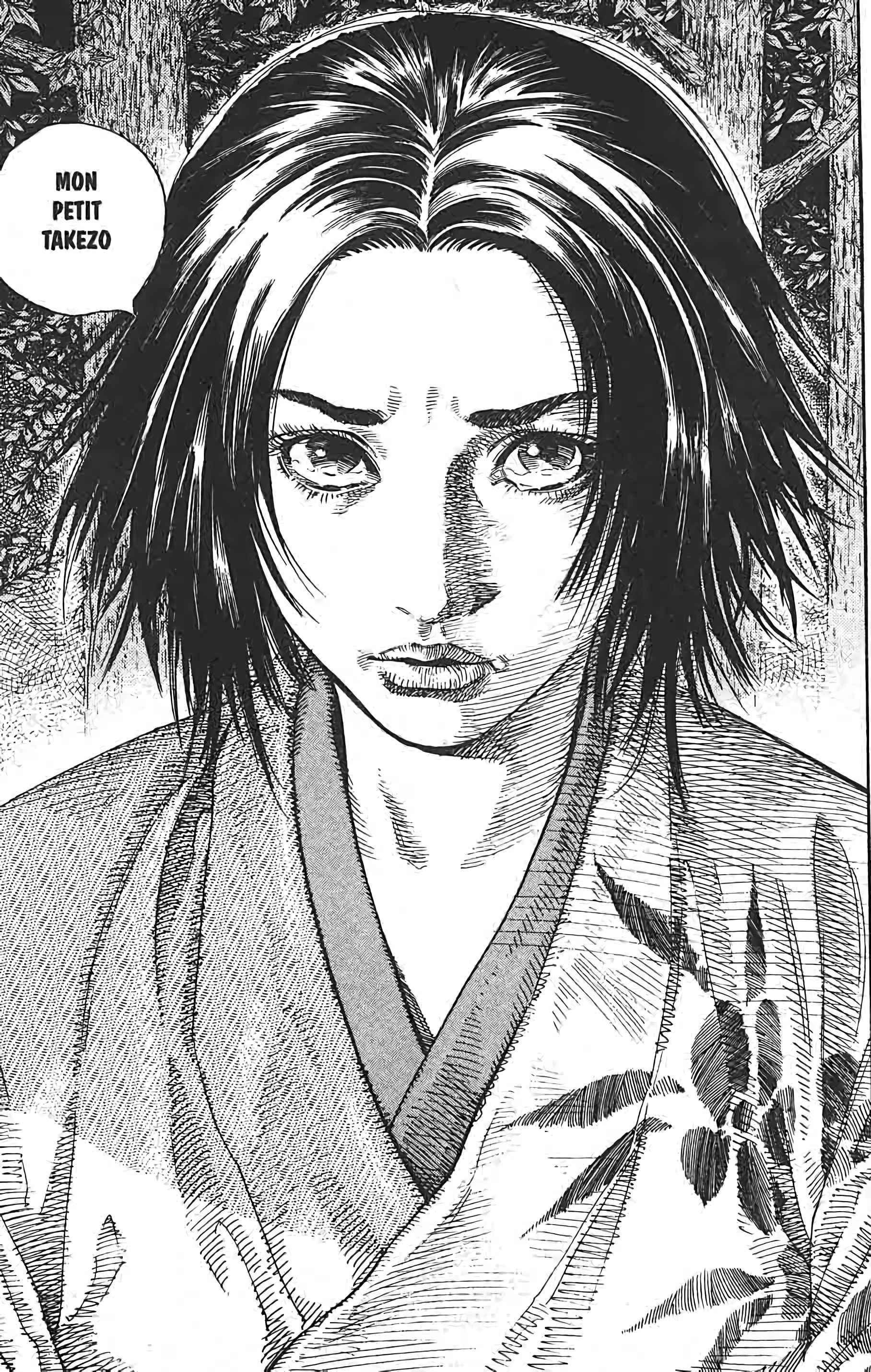 Read Vagabond FR Manga Online