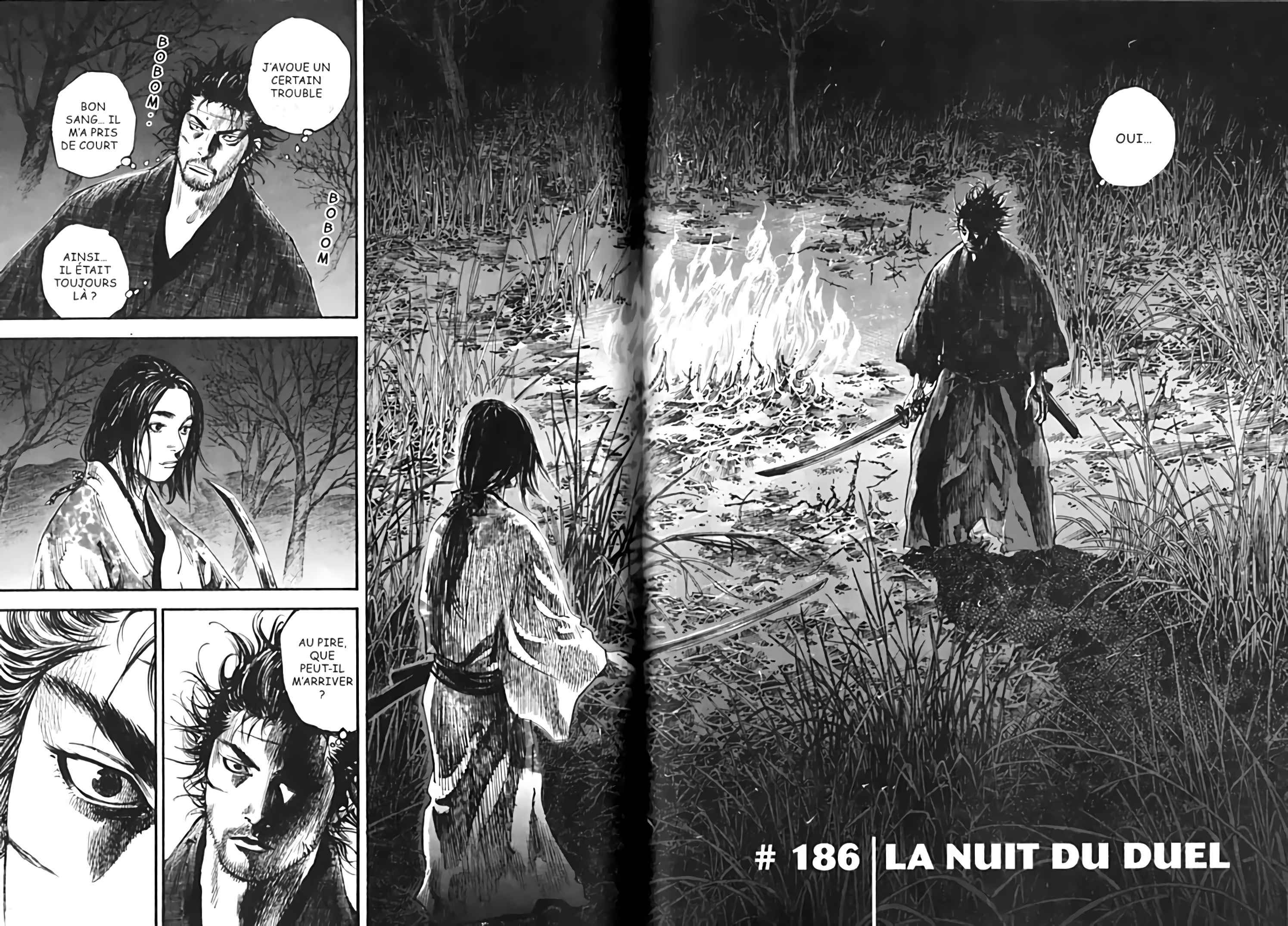 Read Vagabond FR Manga Online