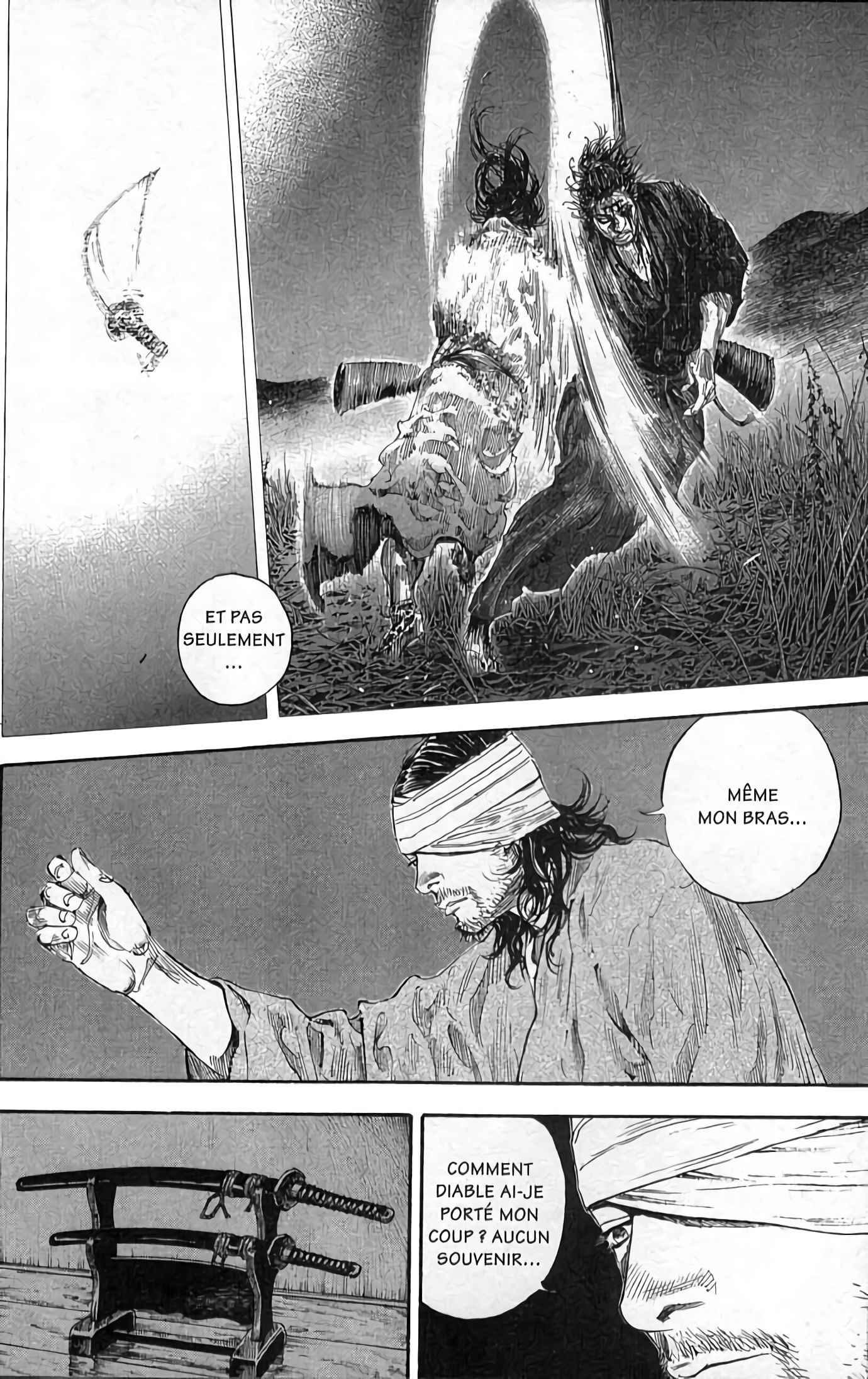 Read Vagabond FR Manga Online