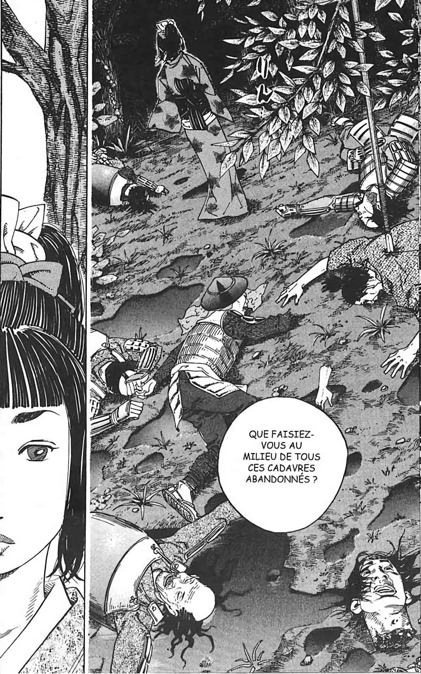Read Vagabond FR Manga Online