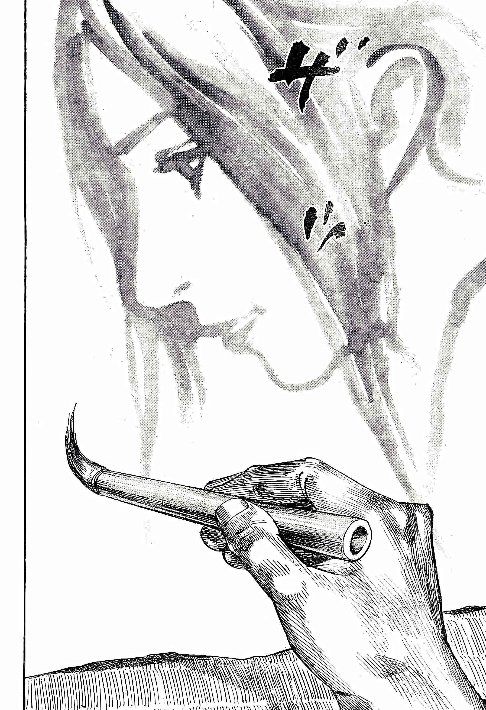Read Vagabond FR Manga Online