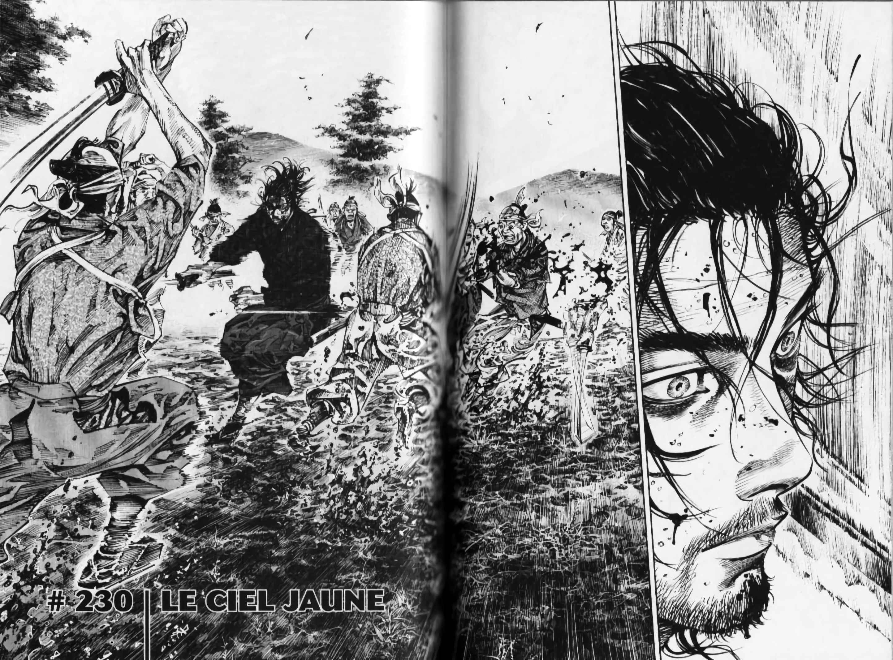 Read Vagabond FR Manga Online