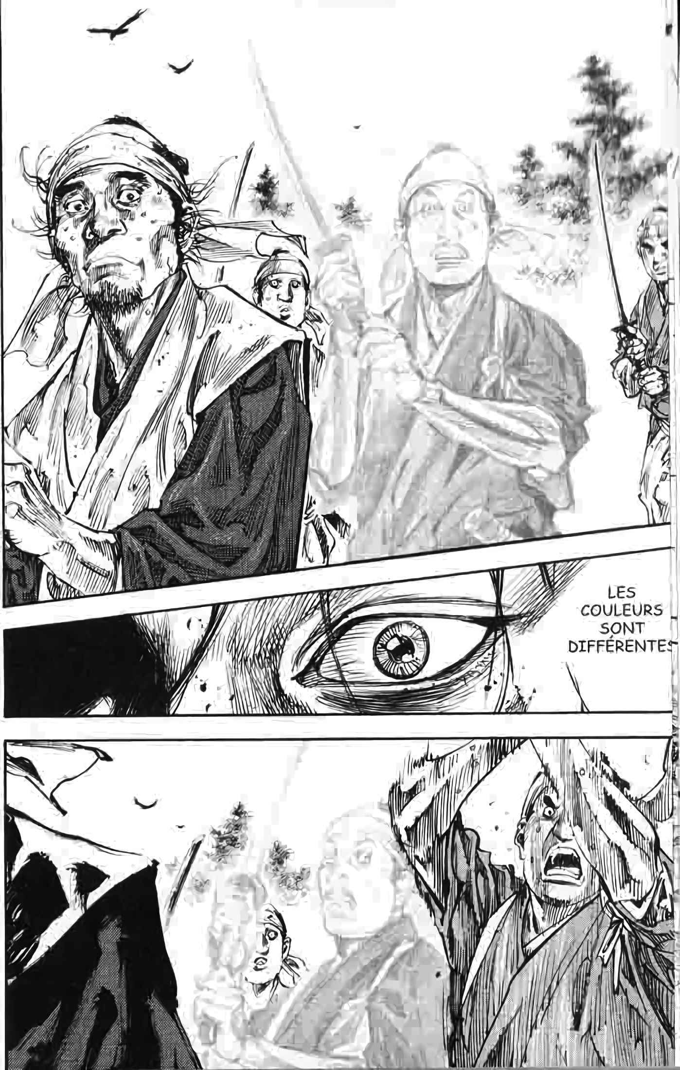 Read Vagabond FR Manga Online