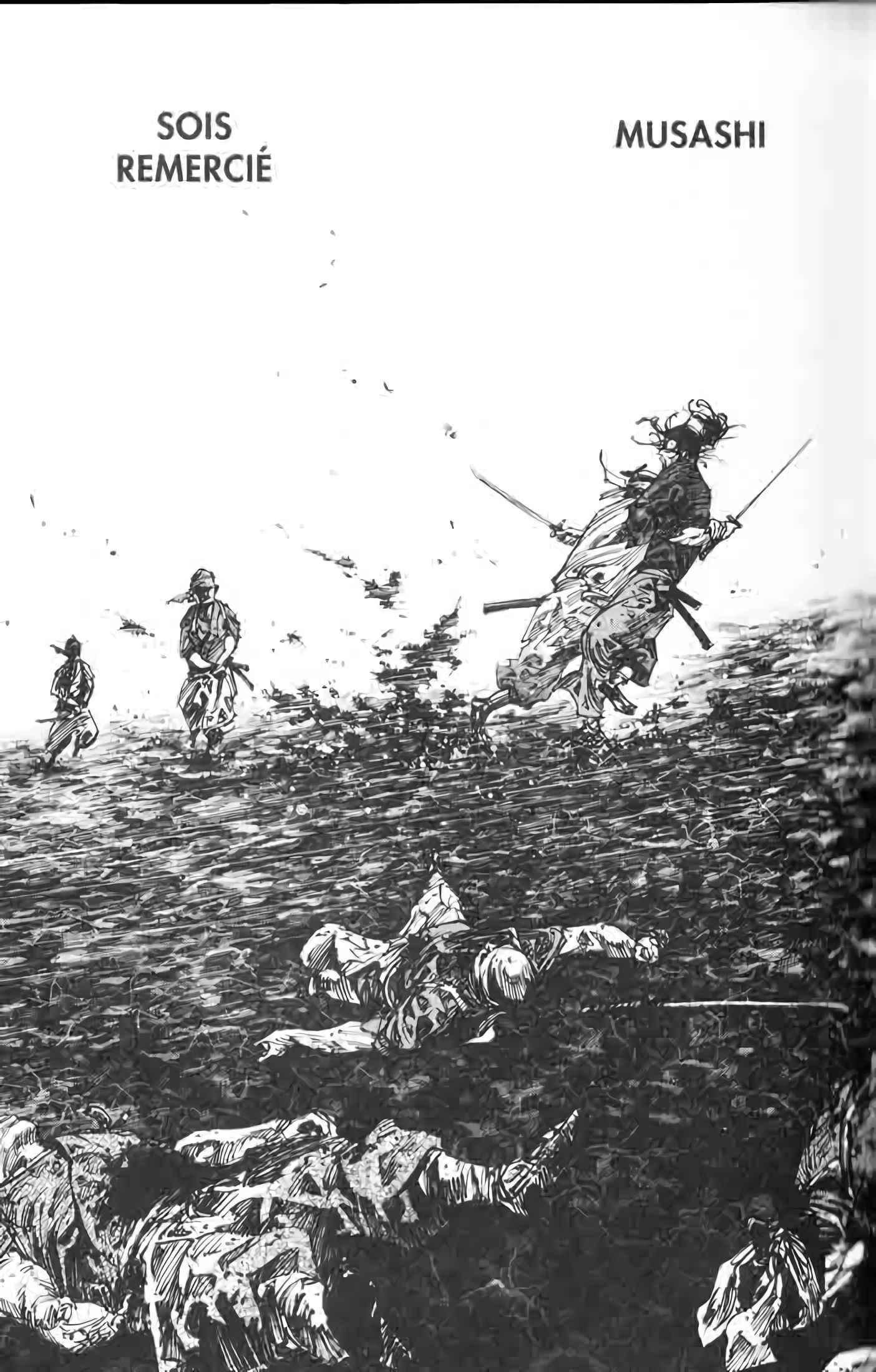Read Vagabond FR Manga Online