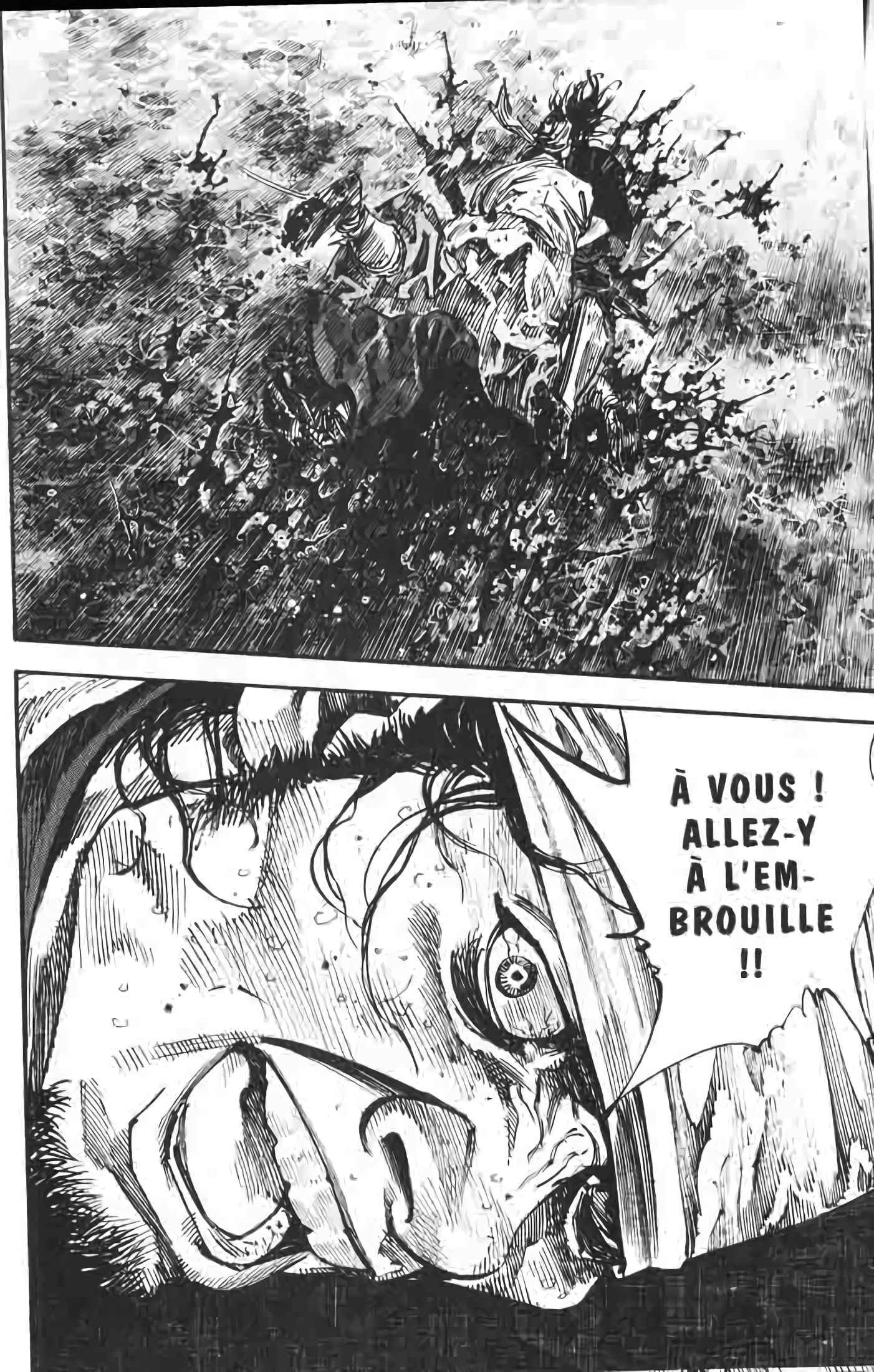 Read Vagabond FR Manga Online