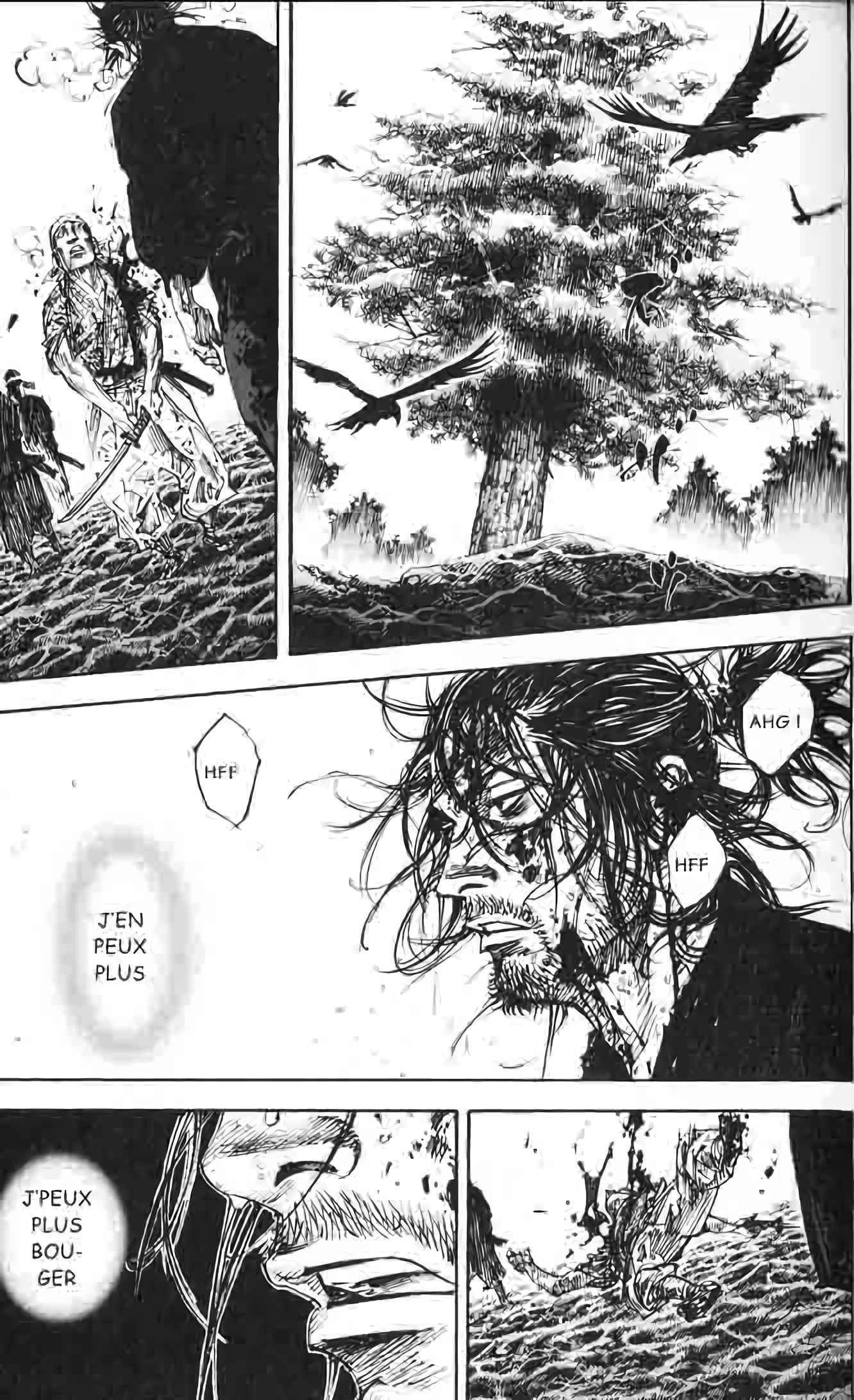 Read Vagabond FR Manga Online