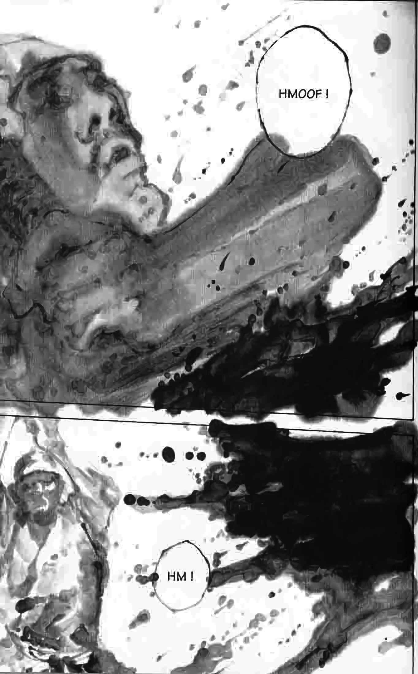 Read Vagabond FR Manga Online