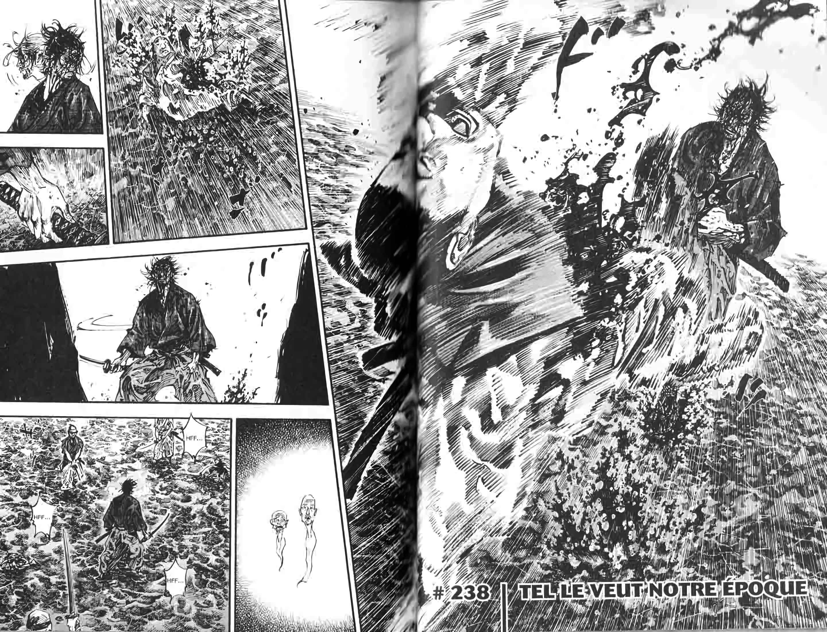 Read Vagabond FR Manga Online