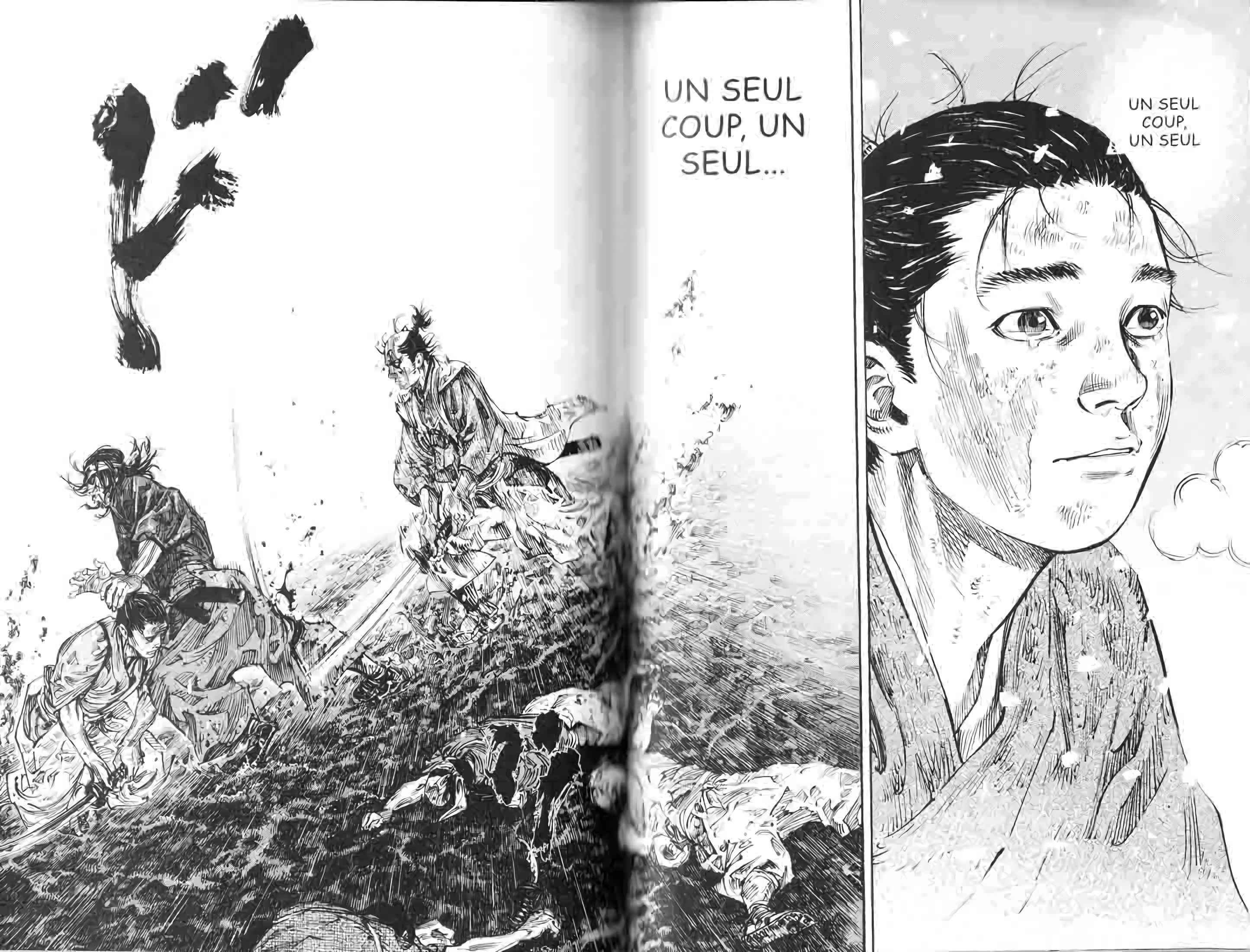 Read Vagabond FR Manga Online