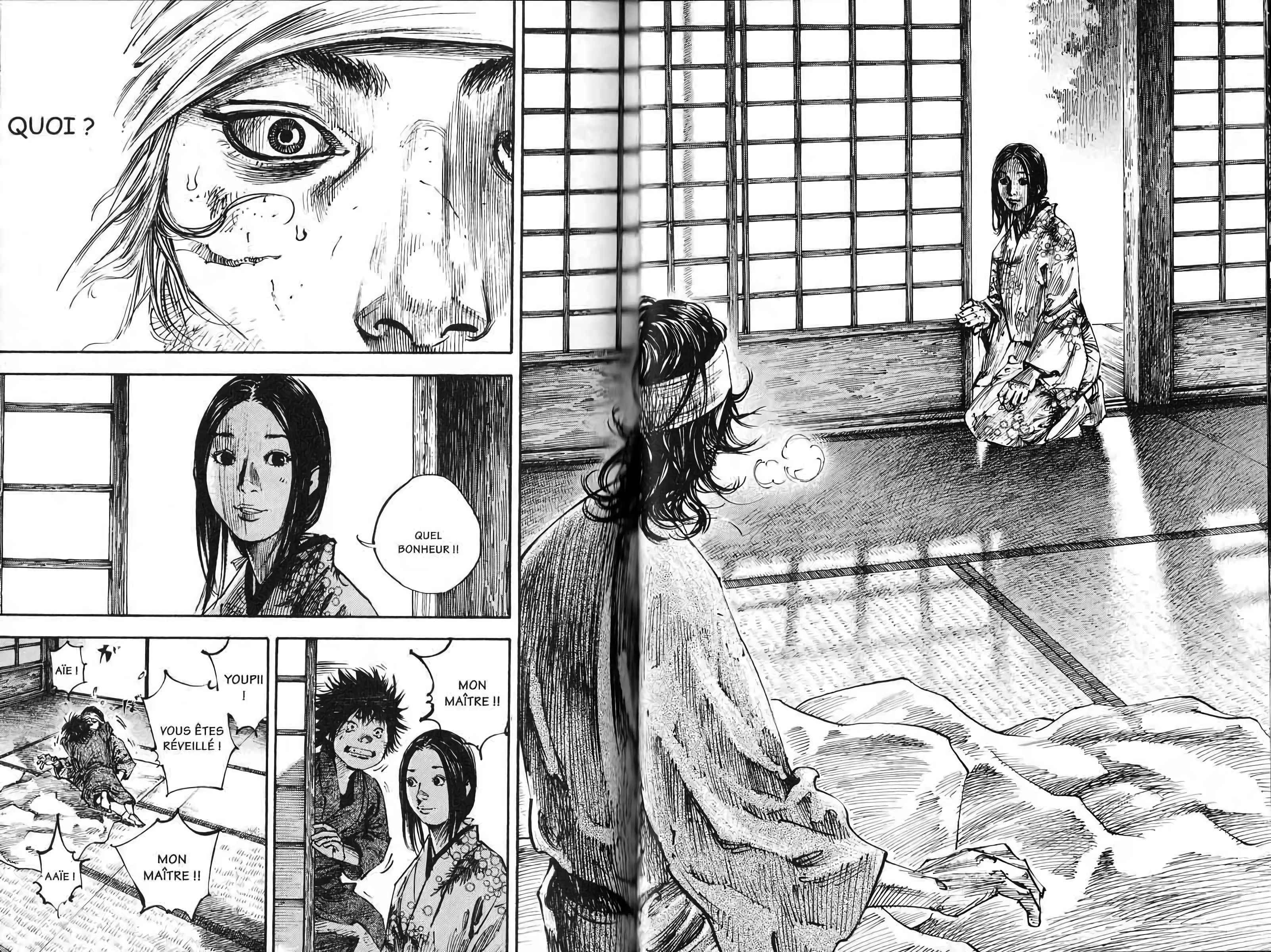 Read Vagabond FR Manga Online