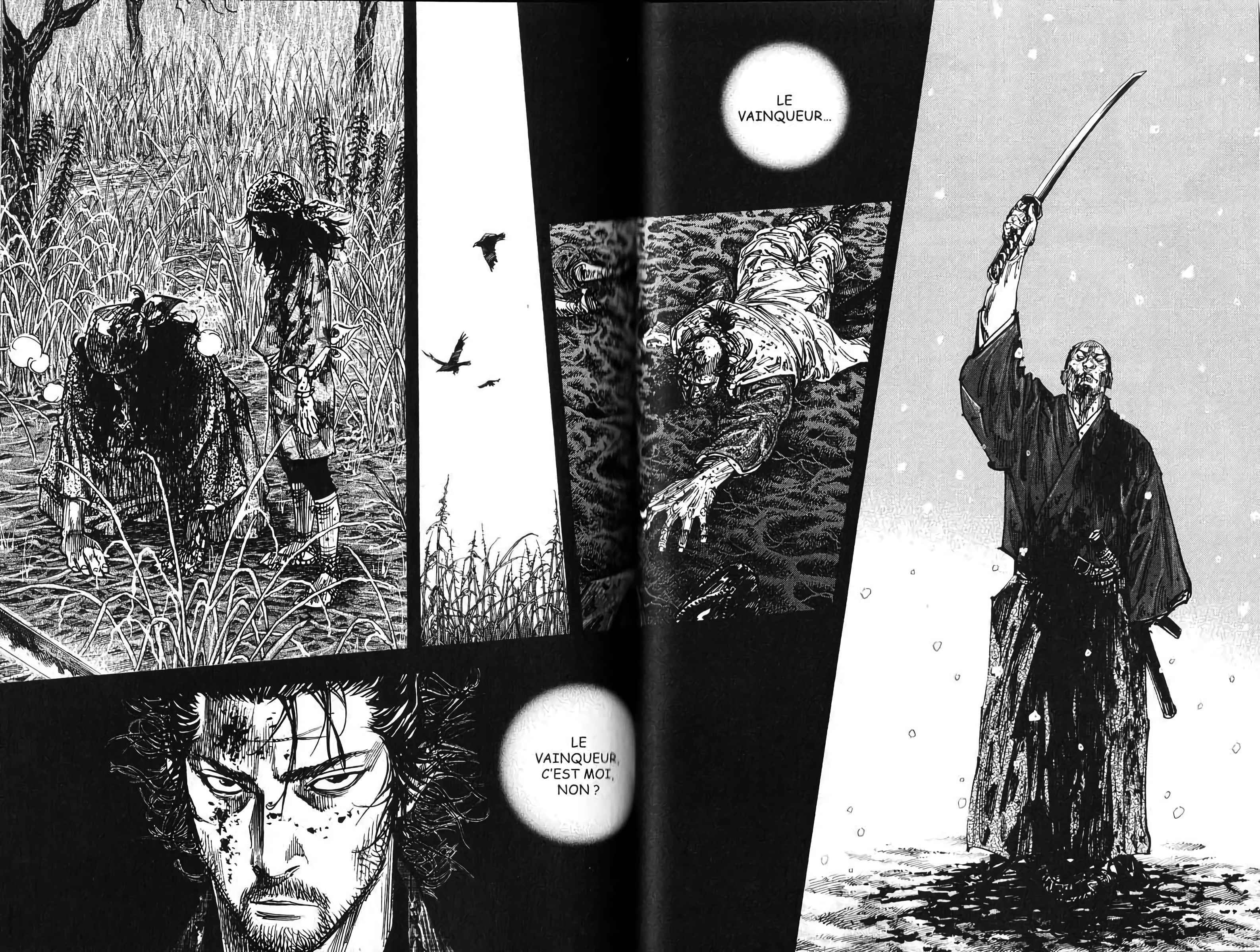Read Vagabond FR Manga Online
