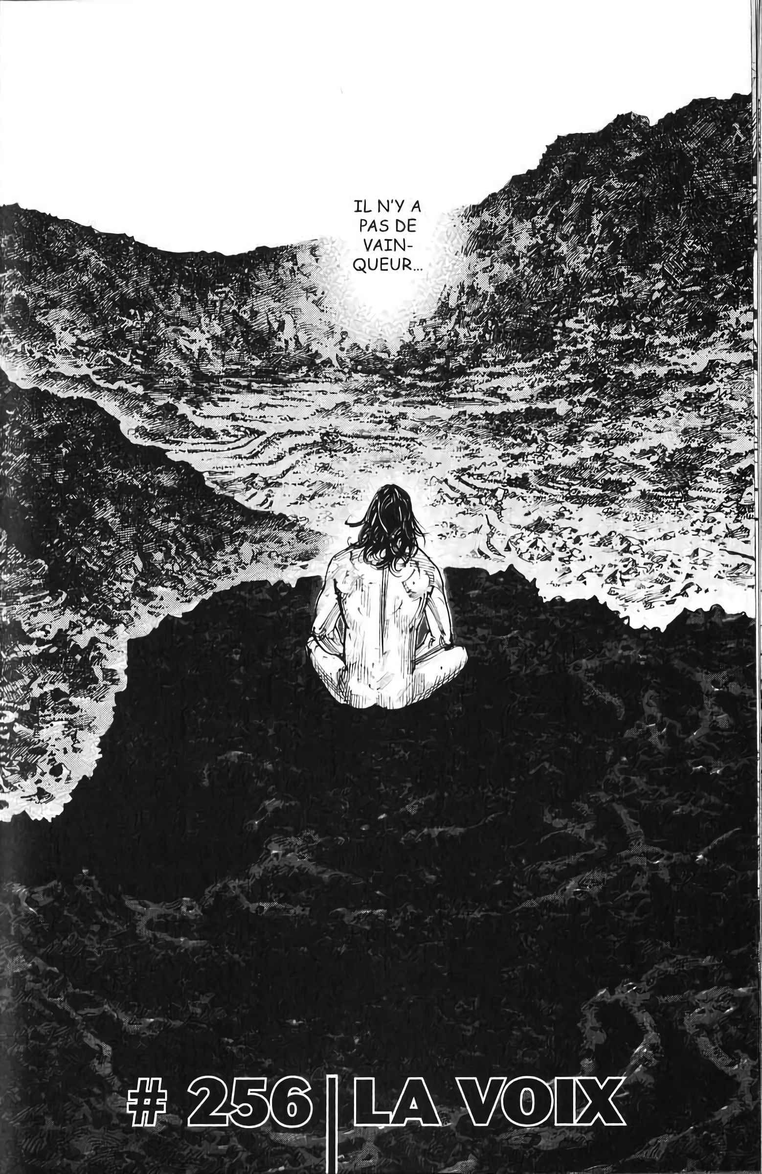 Read Vagabond FR Manga Online