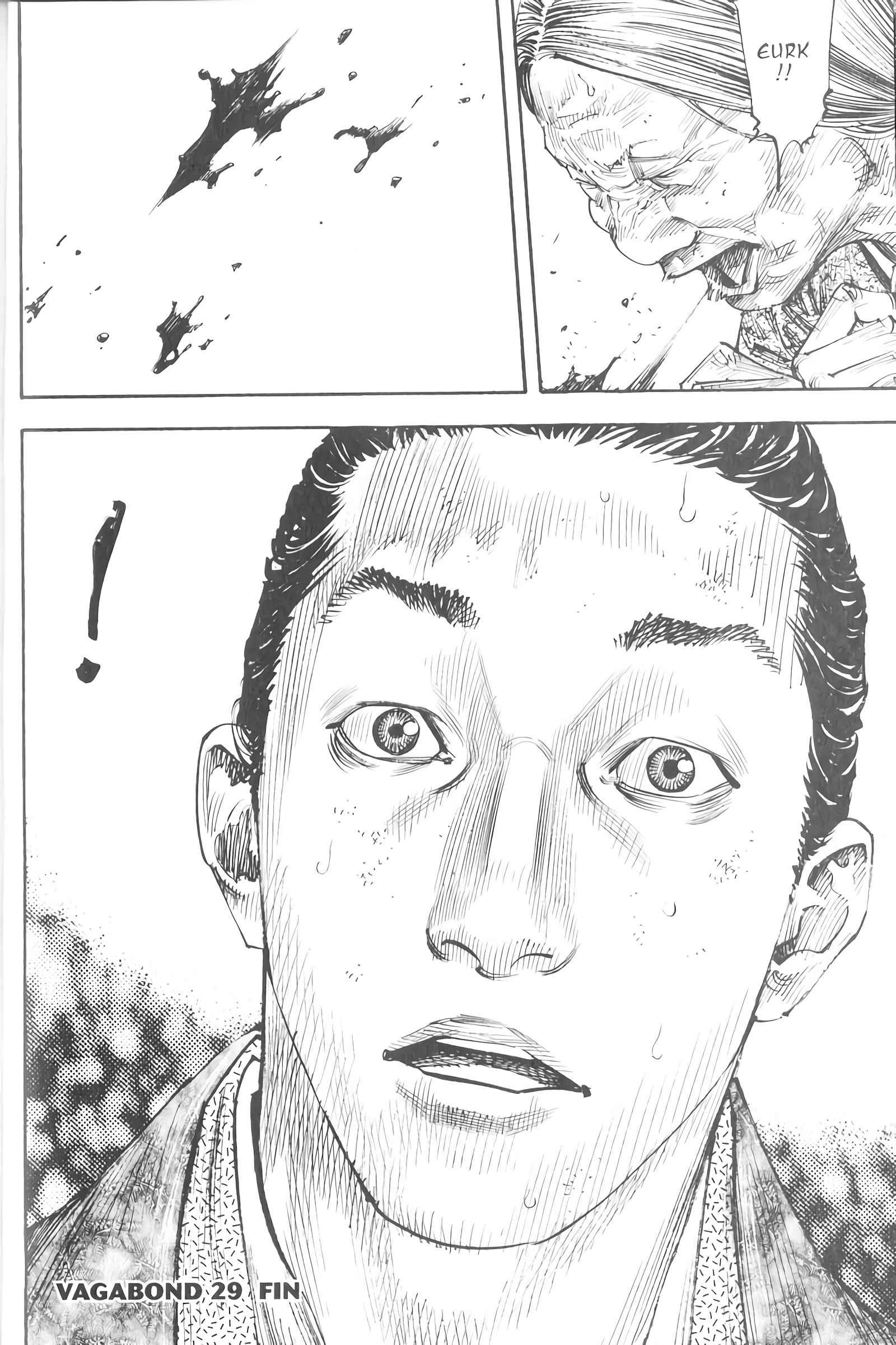 Read Vagabond FR Manga Online