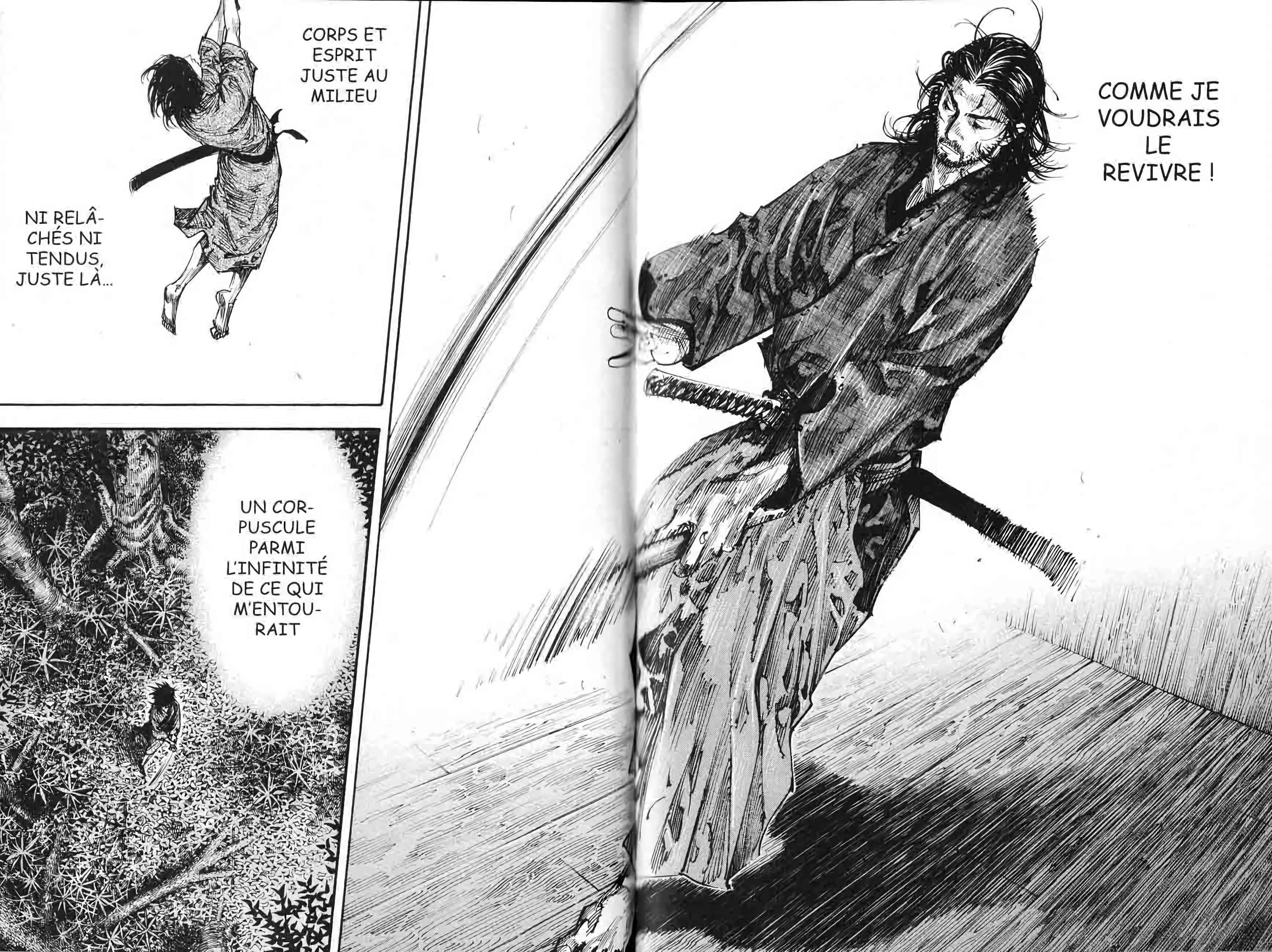 Read Vagabond FR Manga Online