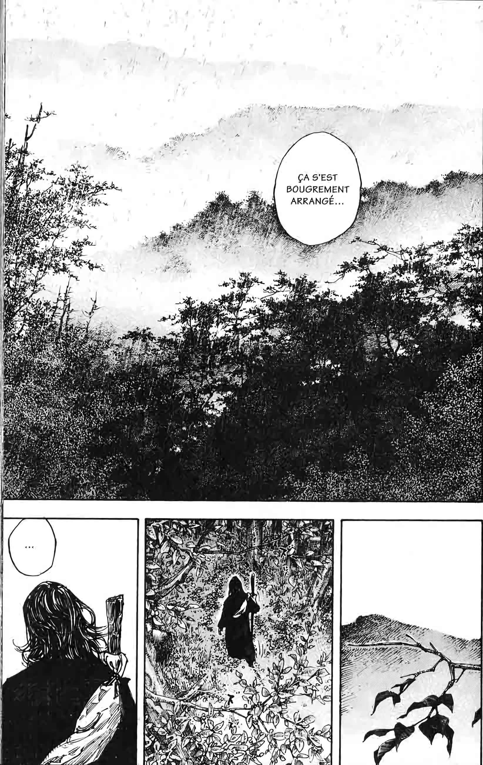 Read Vagabond FR Manga Online