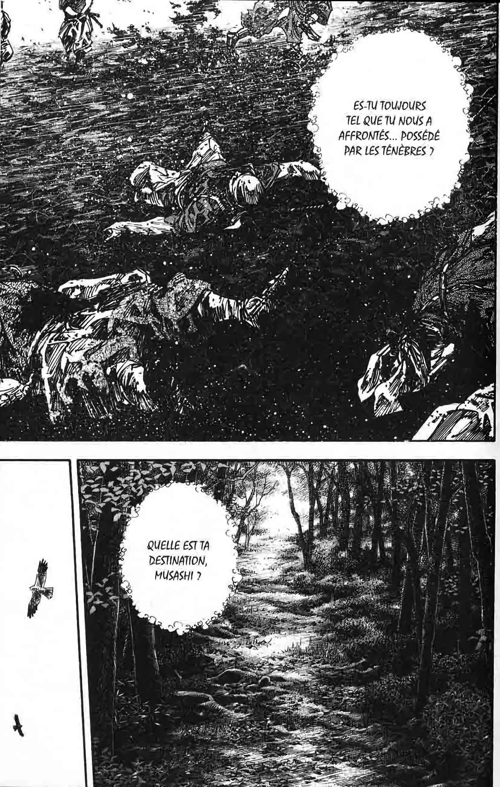 Read Vagabond FR Manga Online