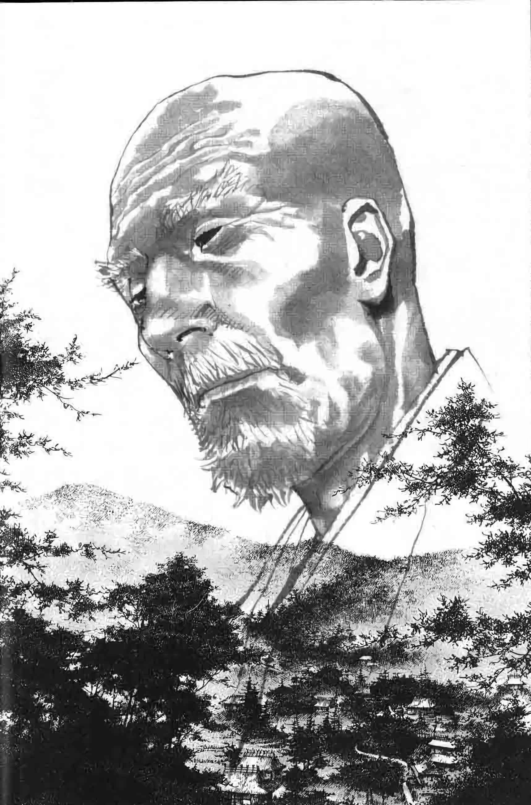 Read Vagabond FR Manga Online