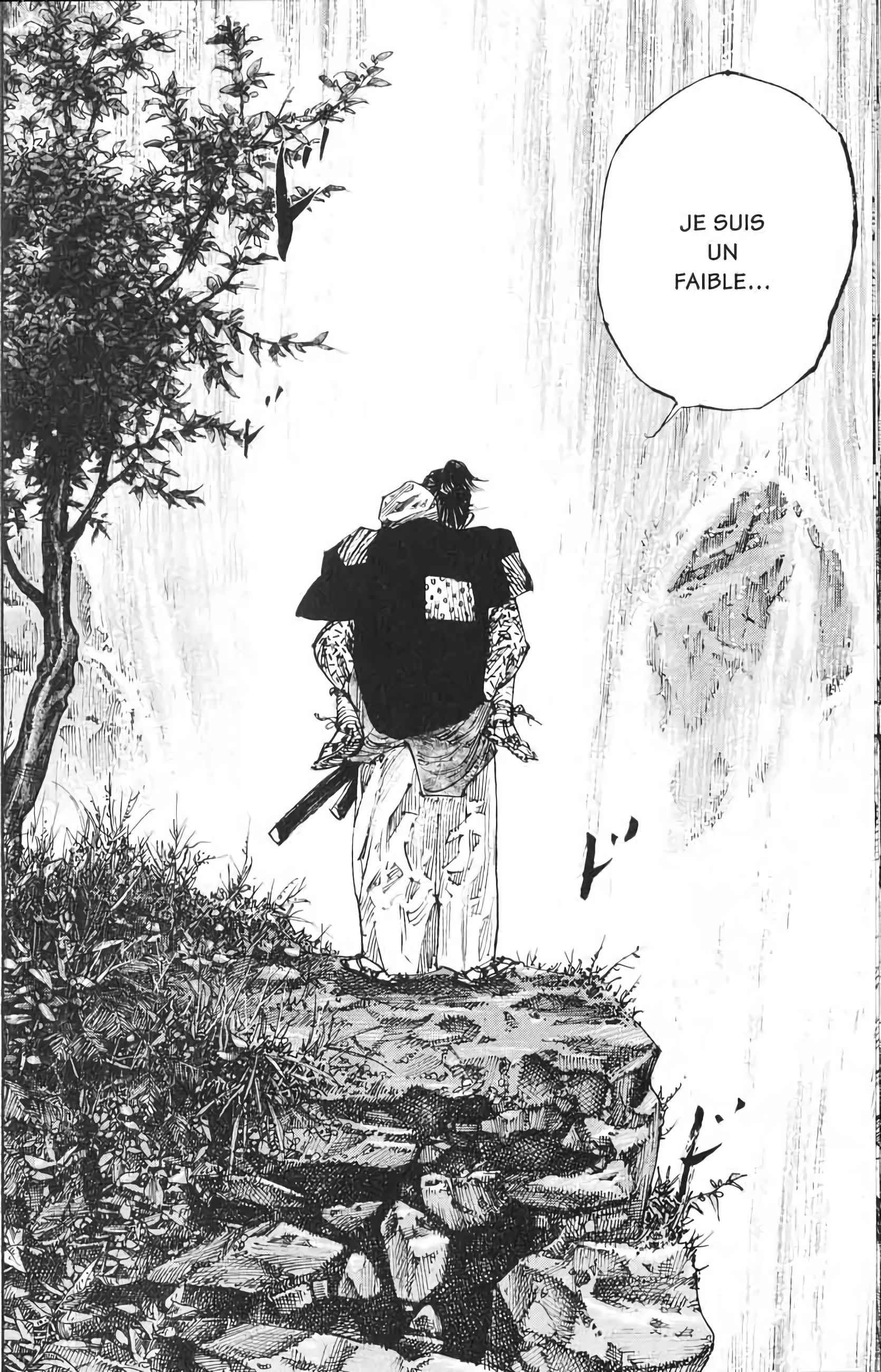 Read Vagabond FR Manga Online