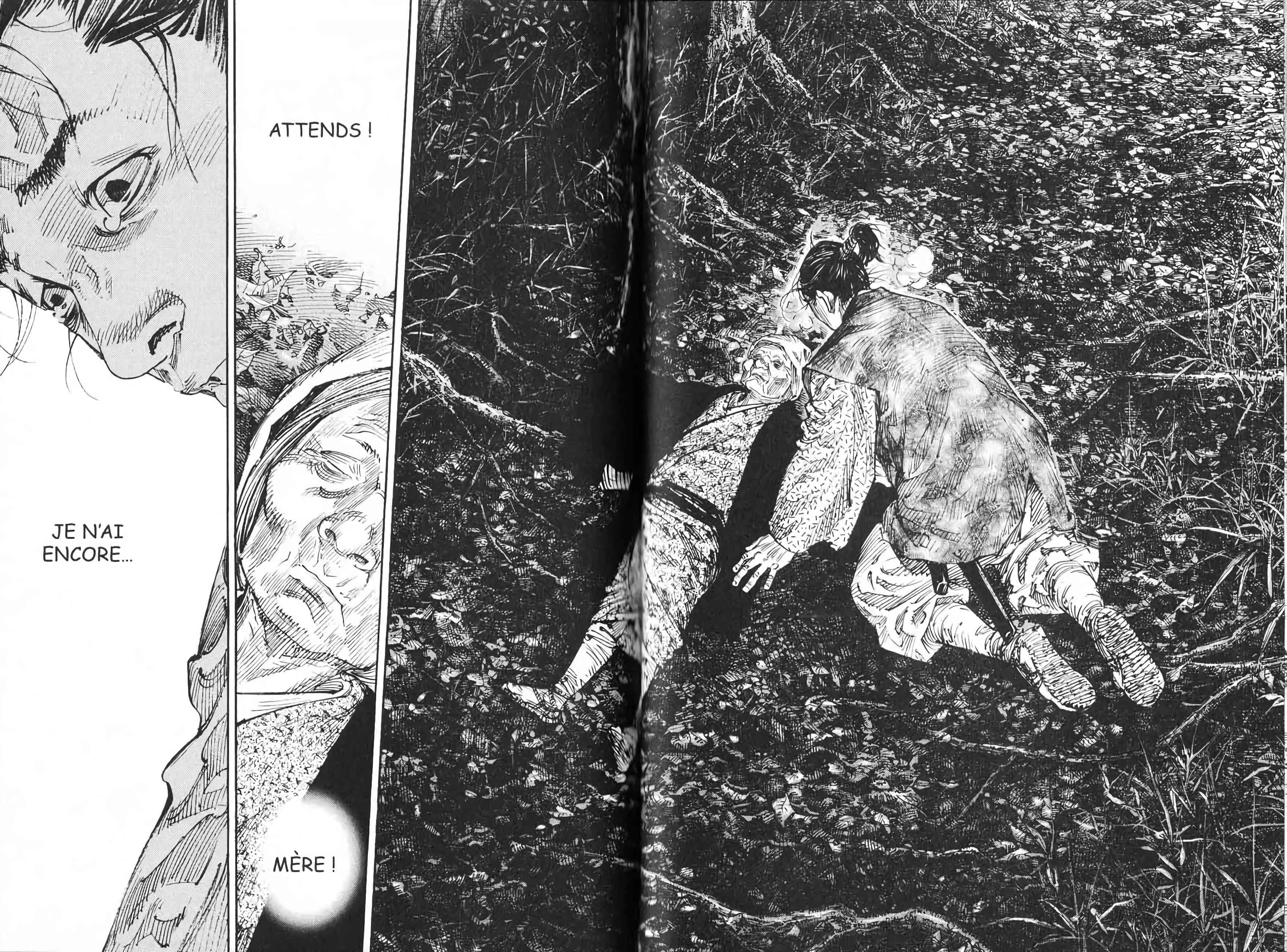 Read Vagabond FR Manga Online