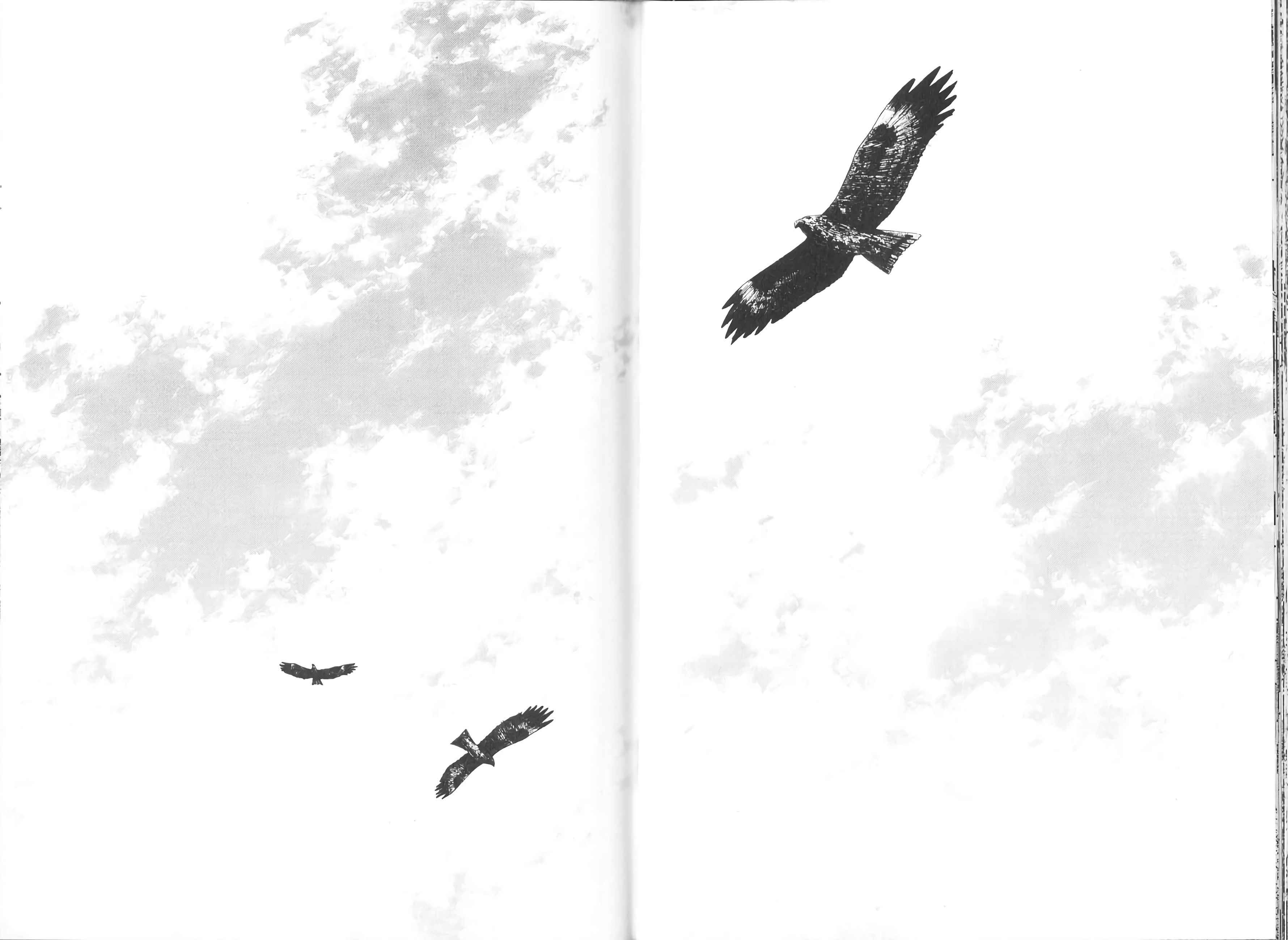 Read Vagabond FR Manga Online