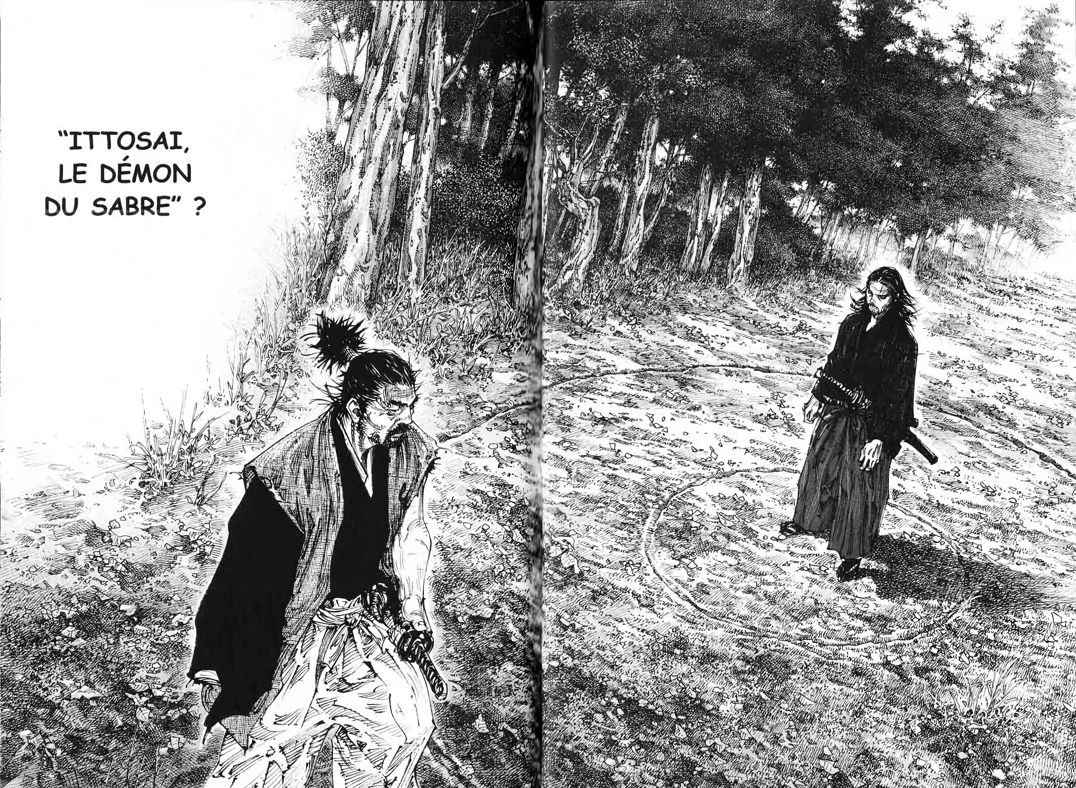 Read Vagabond FR Manga Online