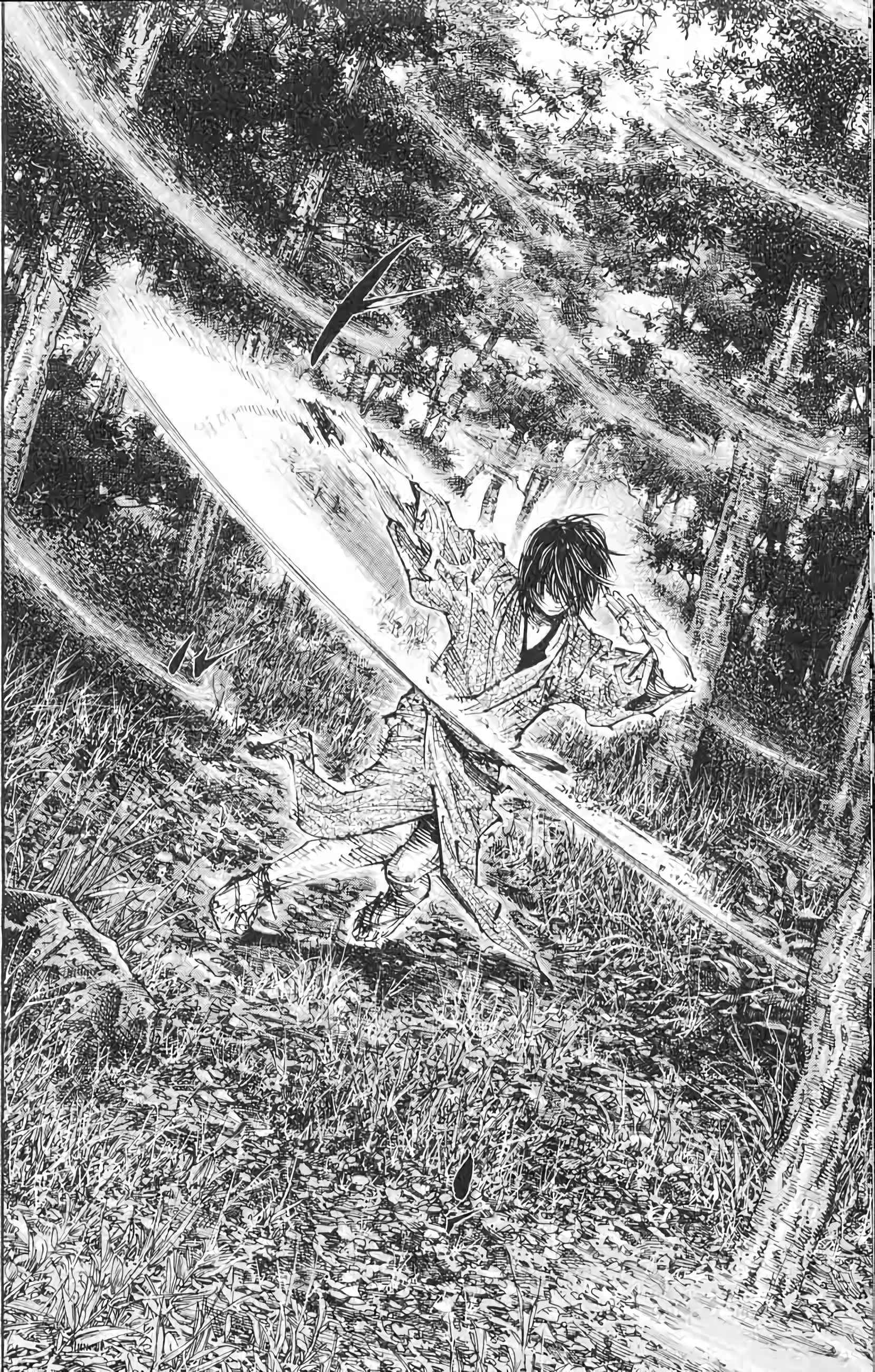Read Vagabond FR Manga Online