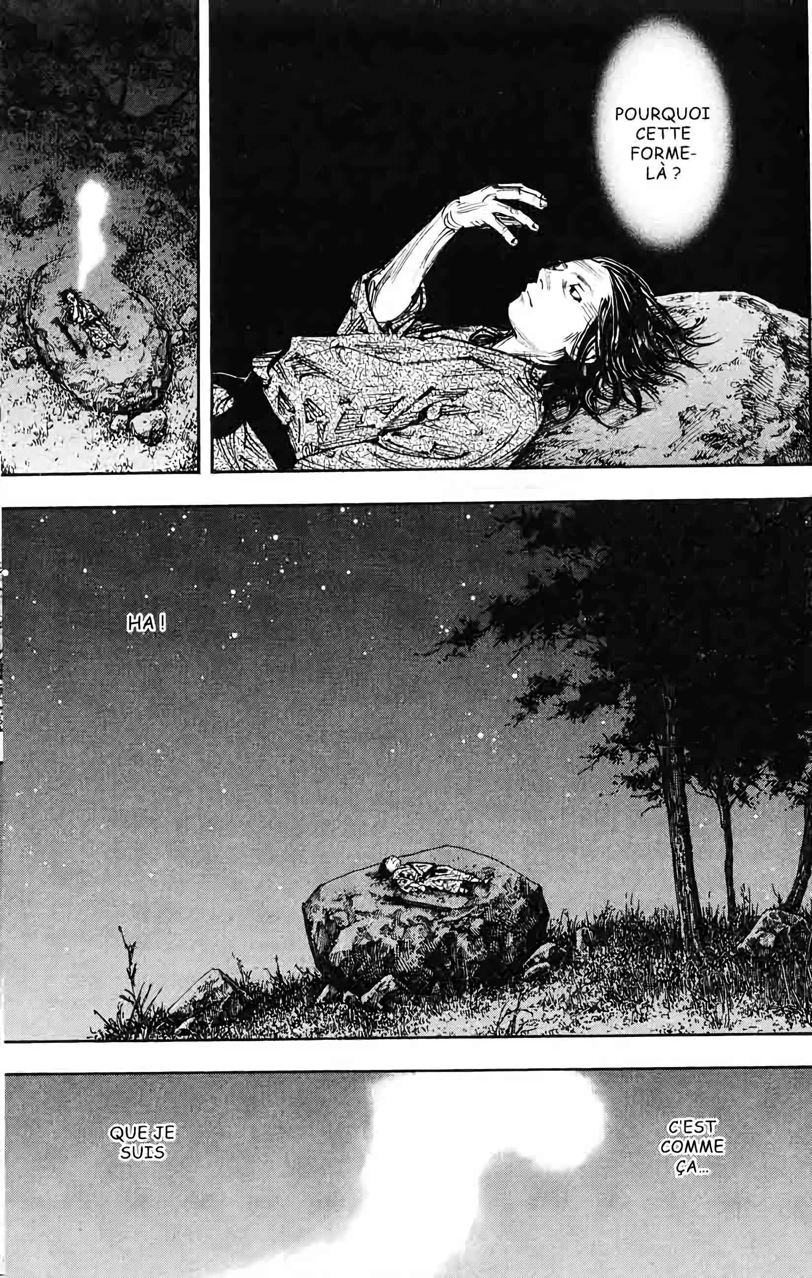 Read Vagabond FR Manga Online