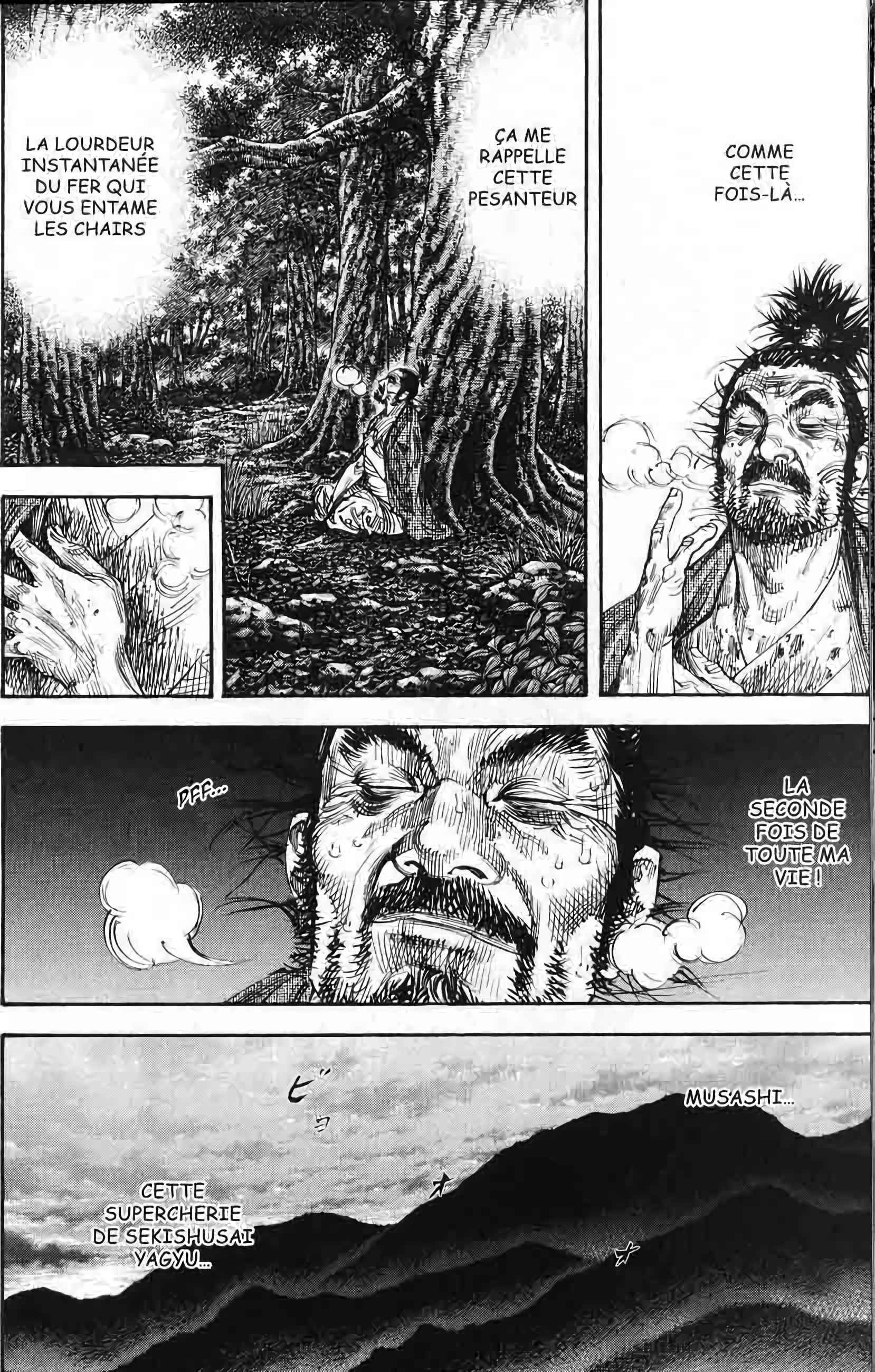 Read Vagabond FR Manga Online