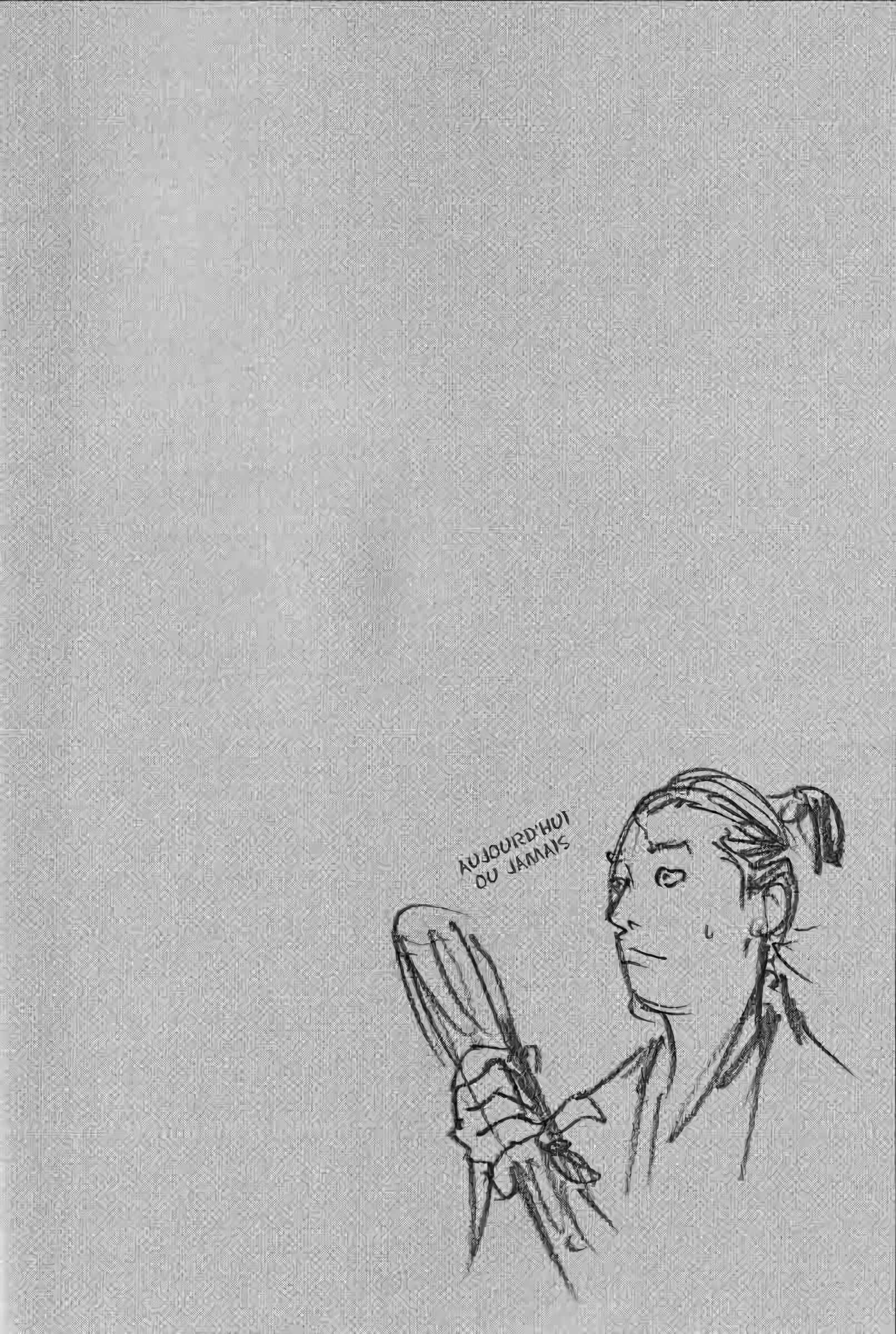 Read Vagabond FR Manga Online
