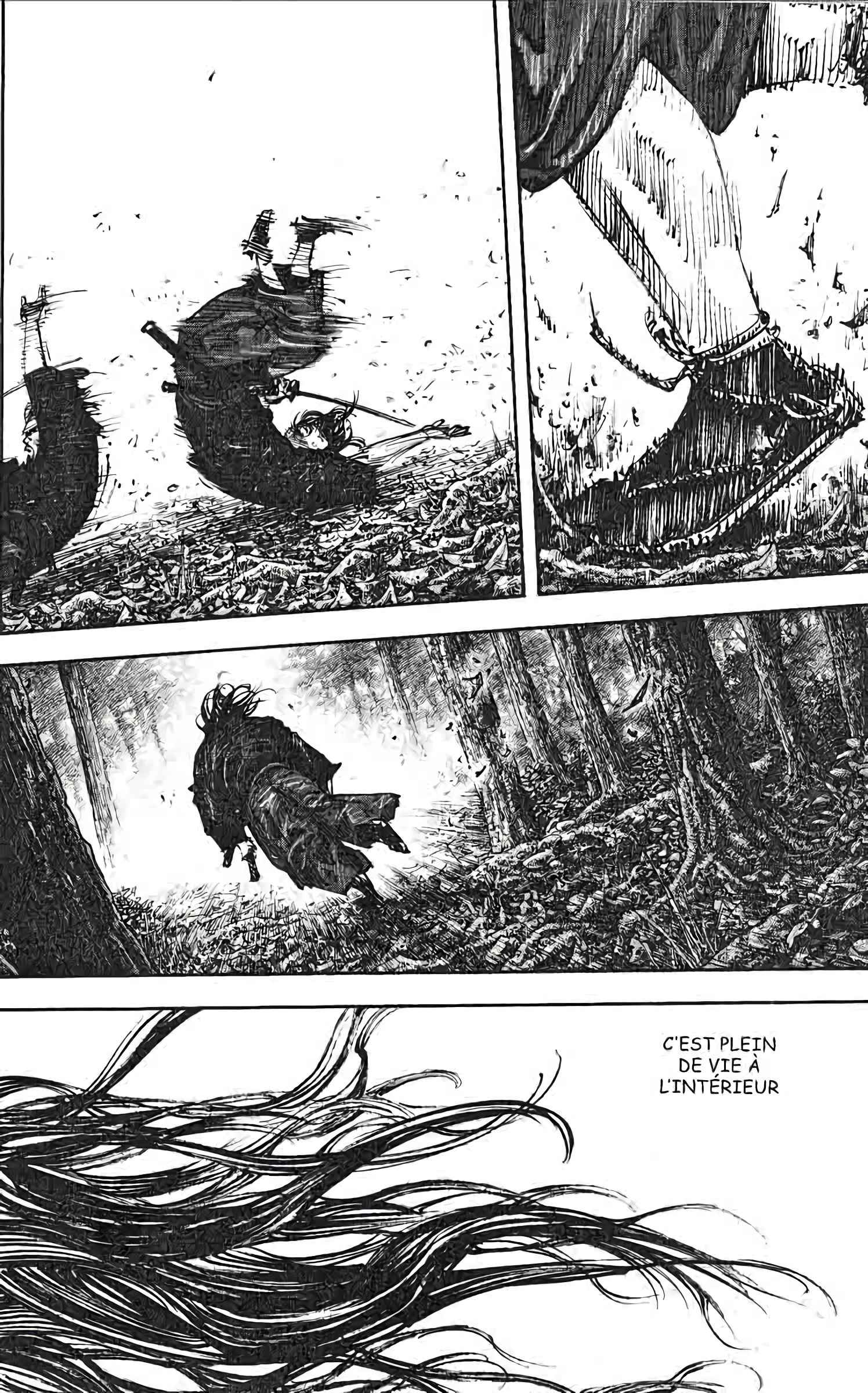 Read Vagabond FR Manga Online